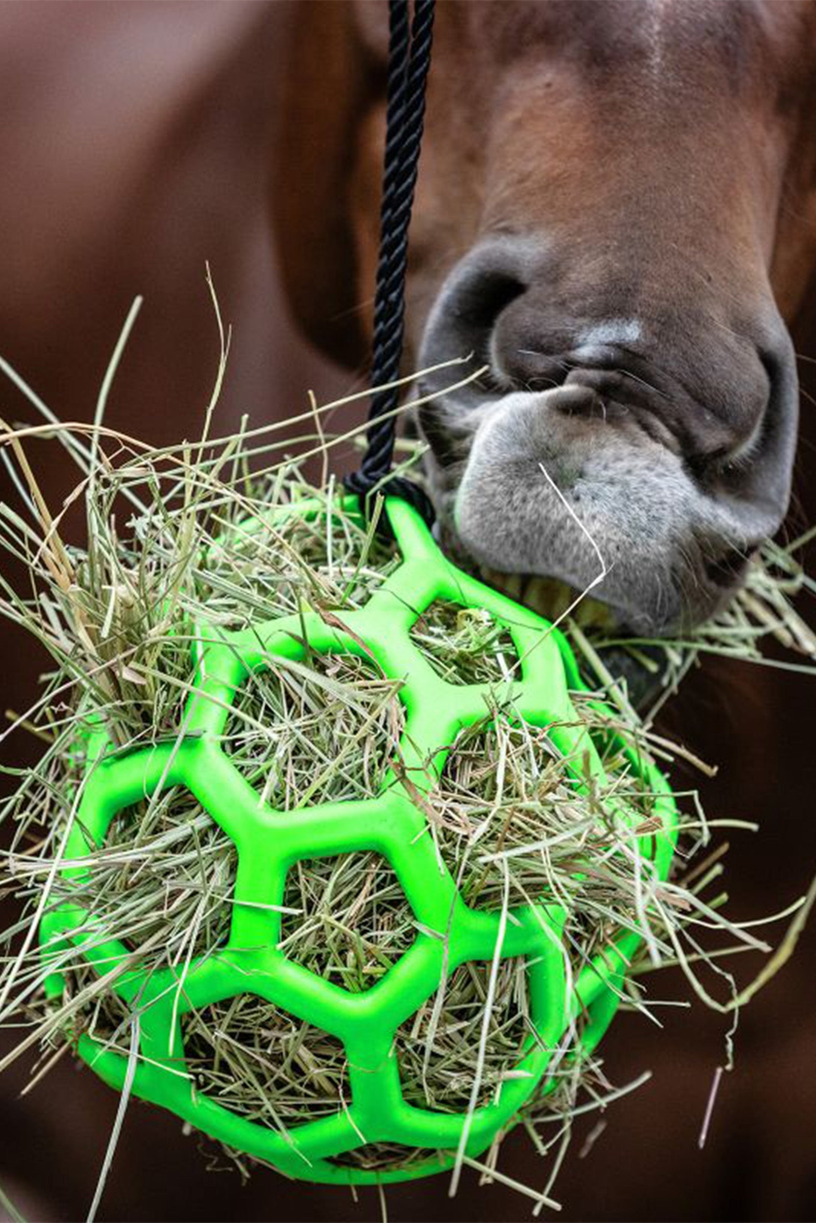 Waldhausen Høball Vanning og fôring