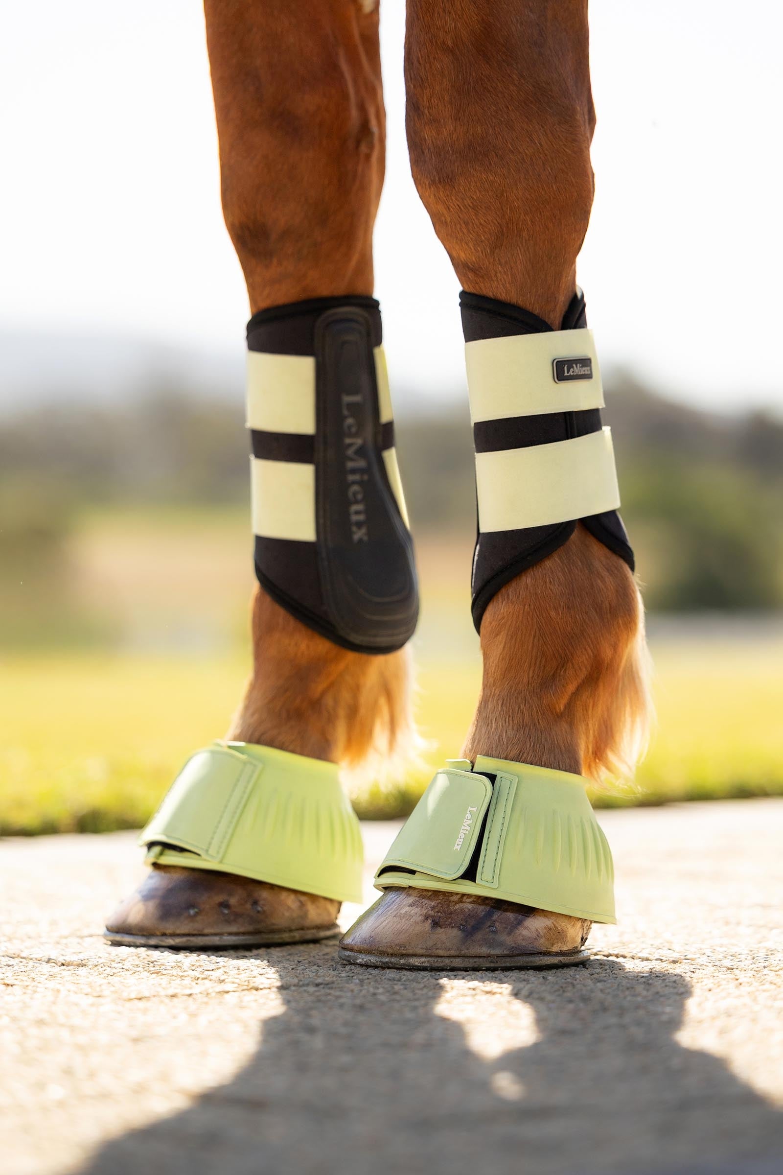 LeMieux Rubber Bell Boots Leg & Hoof Protection