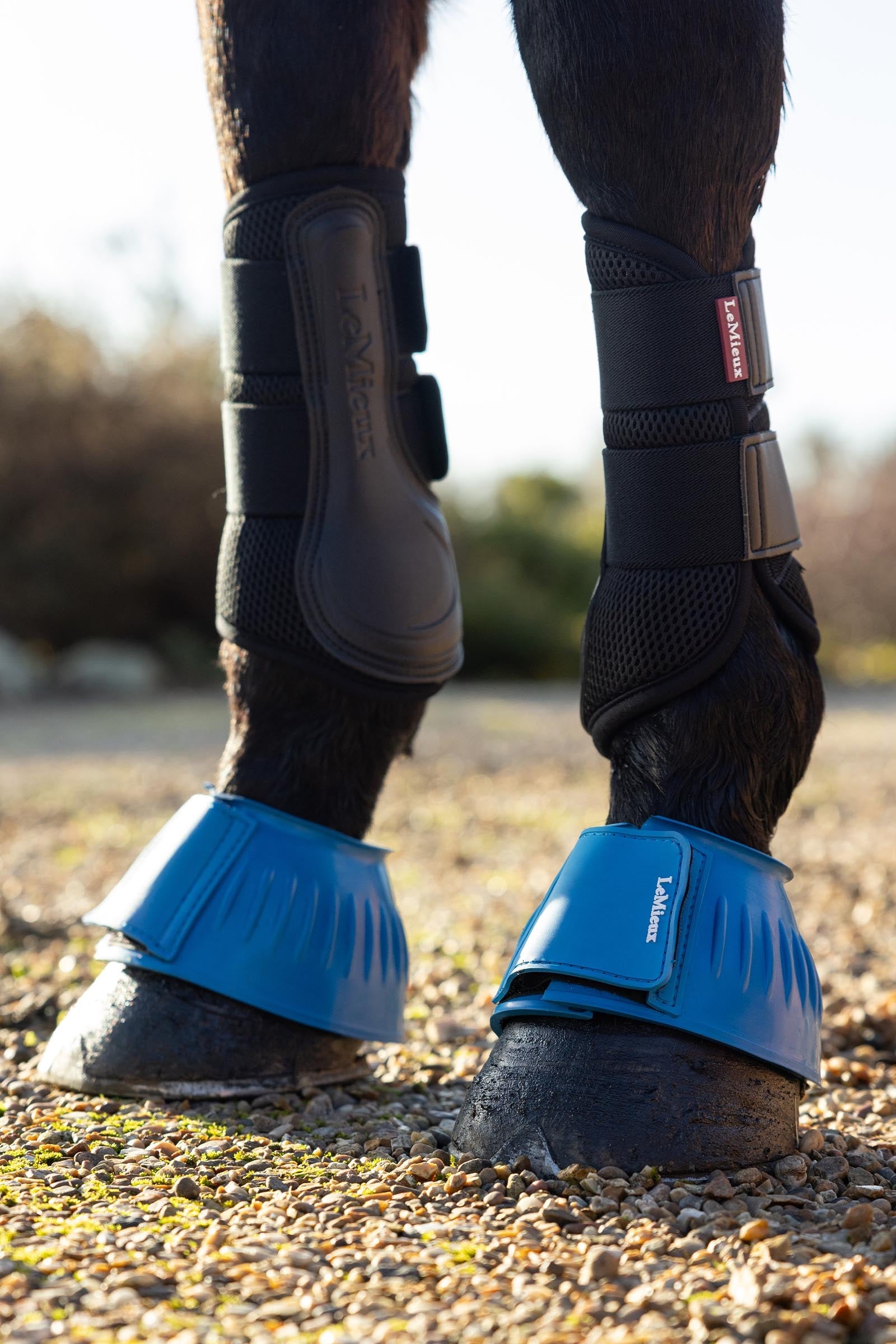 LeMieux Rubber Bell Boots Leg & Hoof Protection