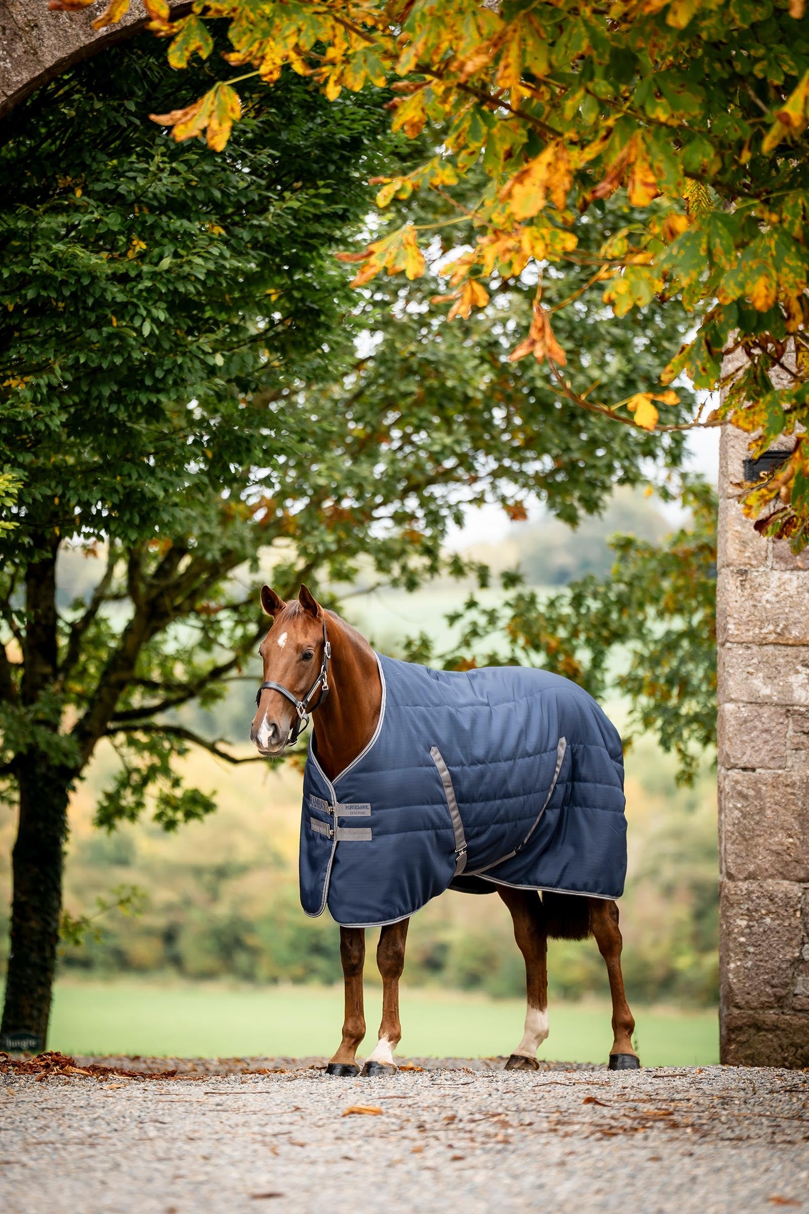 Horseware Rambo Stable 200 g Horse Rugs