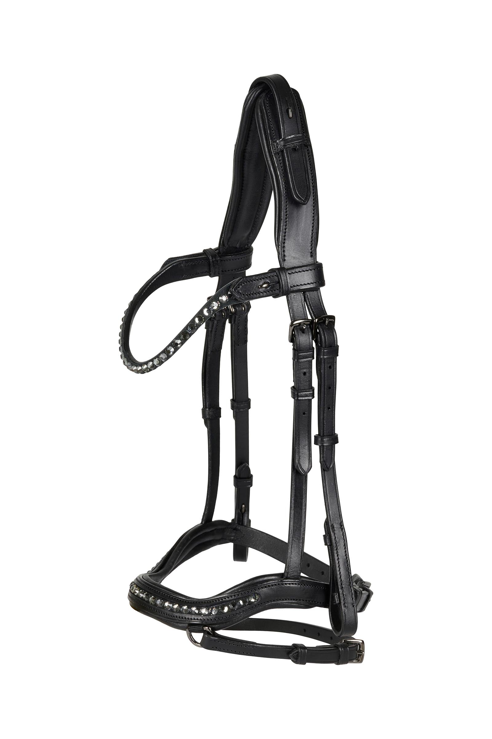 Catago Raja Icelandic Bridle Hodelag & Tøyler