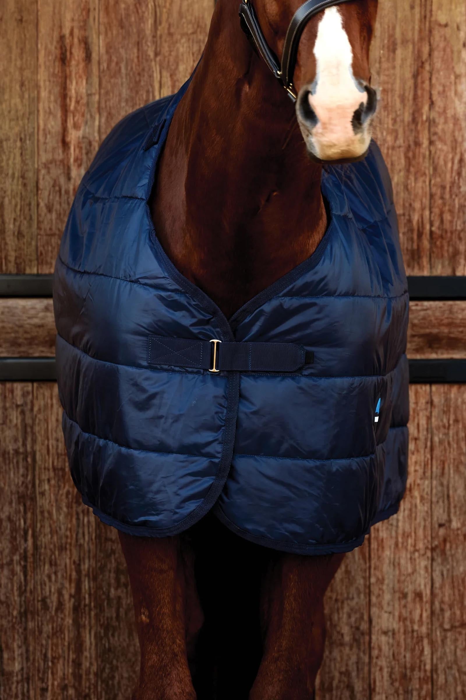Weatherbeeta Comfitec Thermi-heat Liner 100g Horse Rugs