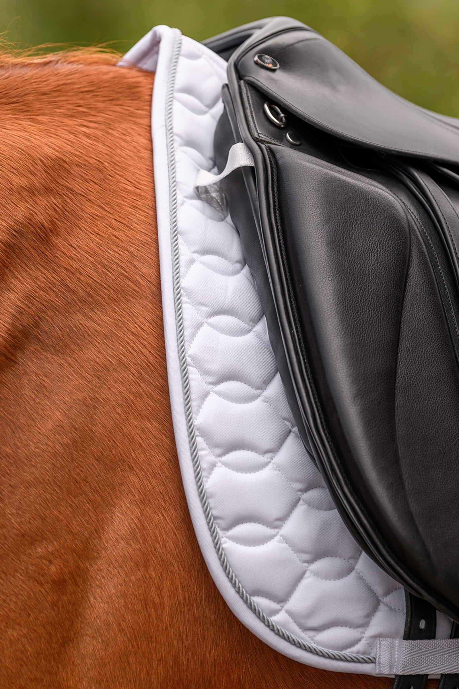 Waldhausen Ancona Dressage Saddle Pad Saddle Pads