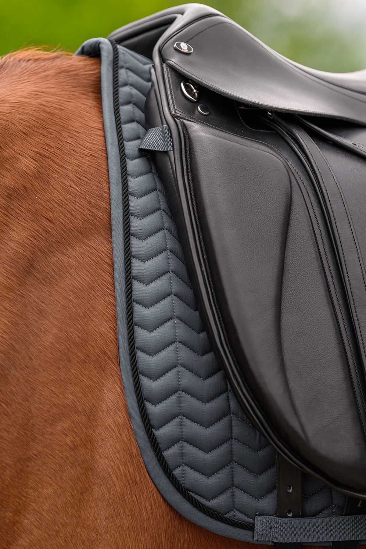 Waldhausen Classic Dressage Saddle Pad Saddle Pads