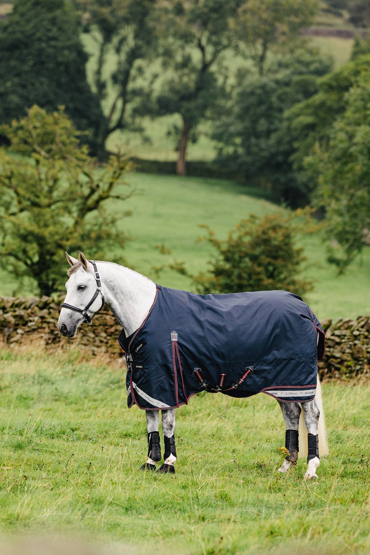 LeMieux Kudos Turnout Rug W. Detachable Neck, 0 g Horse Rugs