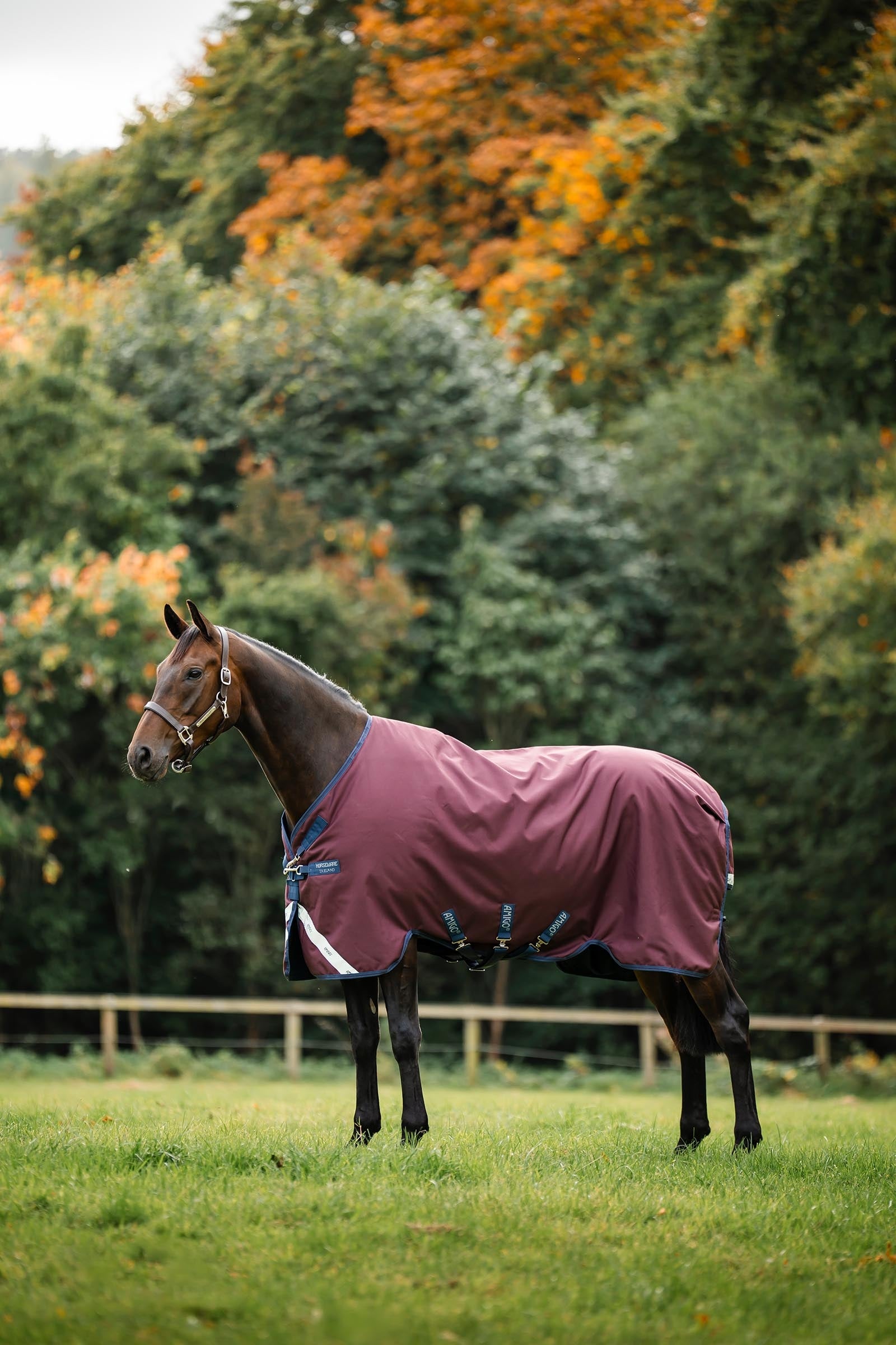 Horseware Amigo 1200D Turnout Rug, 50 g Horse Rugs