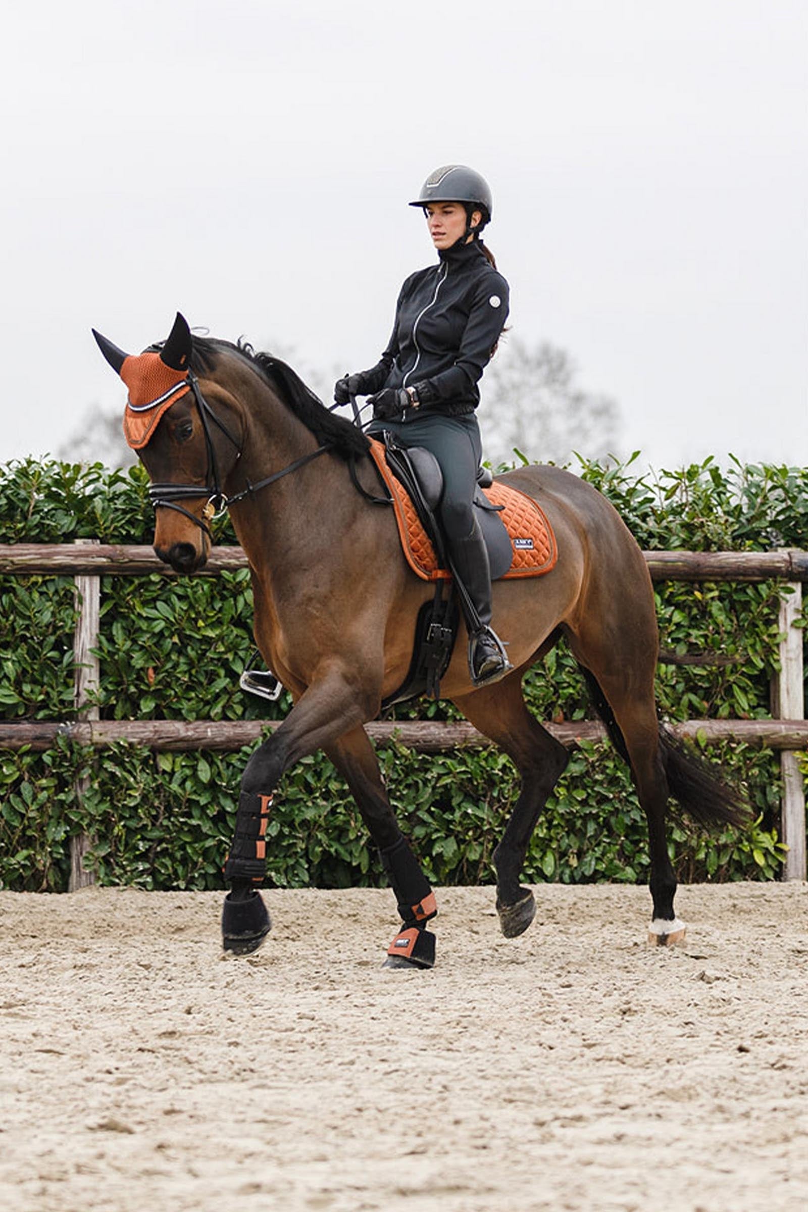 Anky ANKY Stones Ear Bonnet Saddle Pads