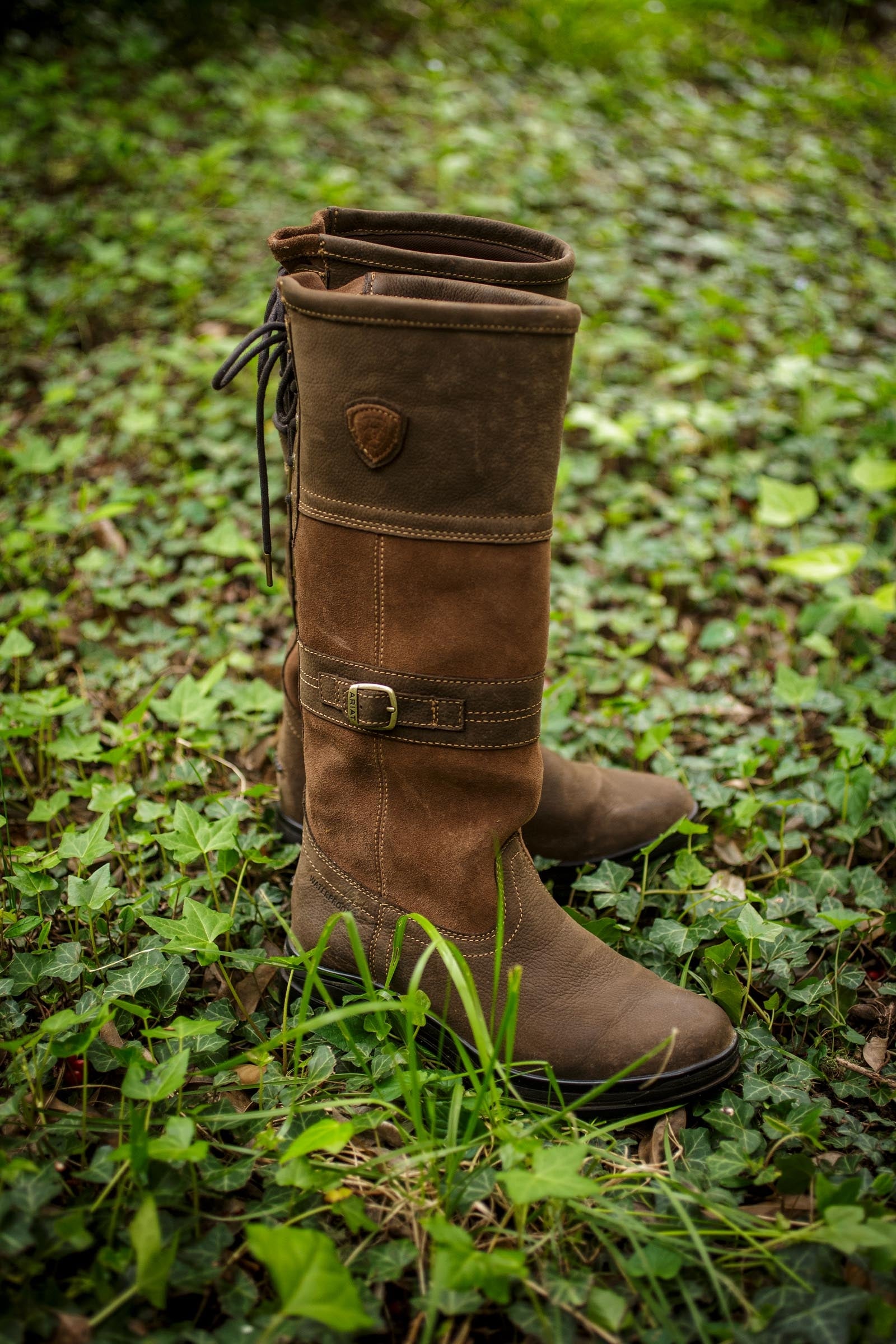 Ariat Langdale Women's Waterproof Boots Riding Boots & Riding Shoes