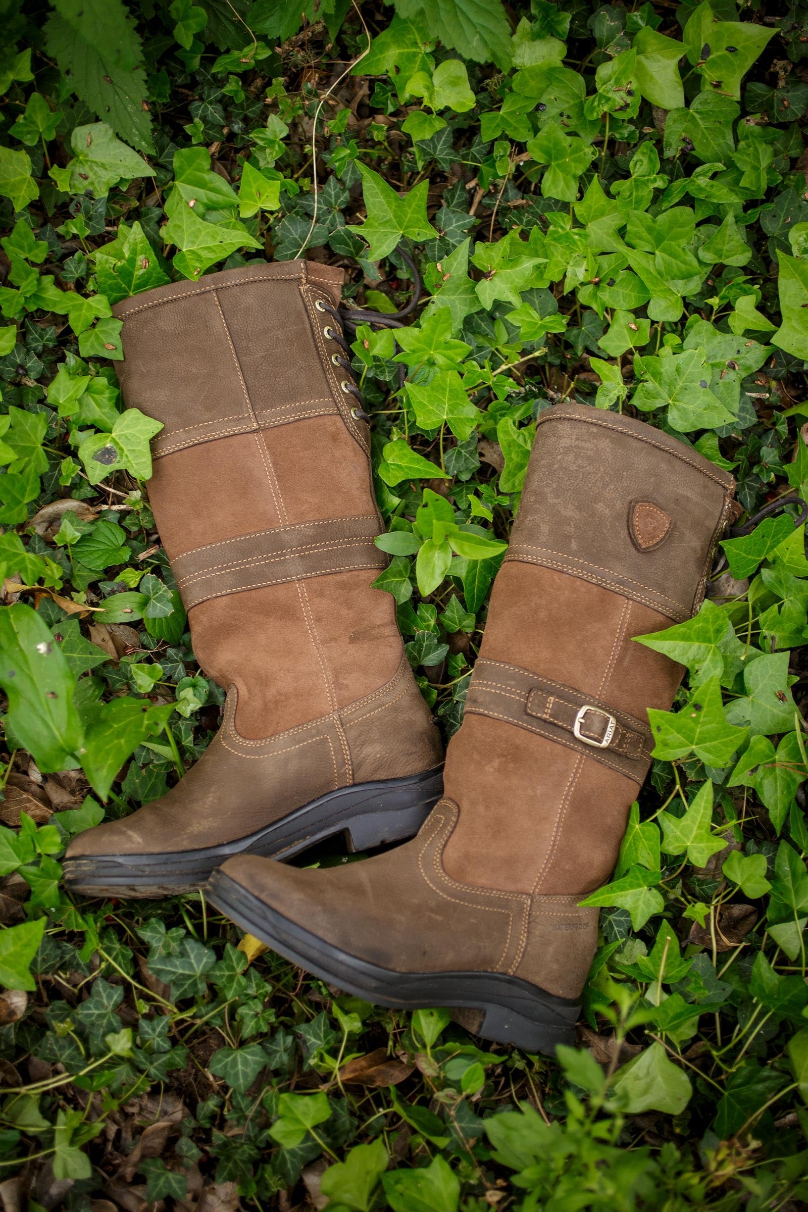 Ariat Langdale Women's Waterproof Boots Riding Boots & Riding Shoes