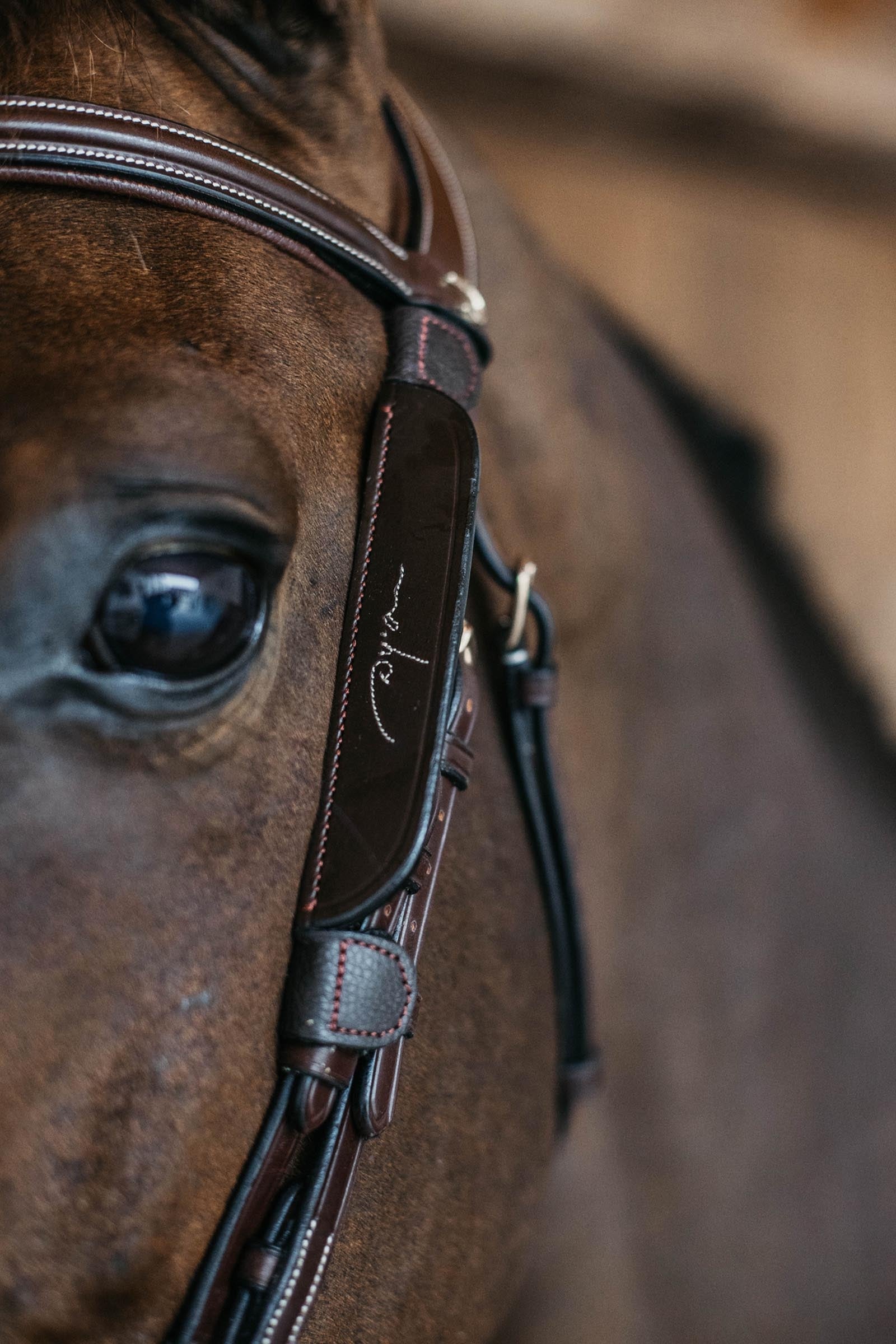 Dy'on Blinkers With Fancy Stitching Bridles & Reins