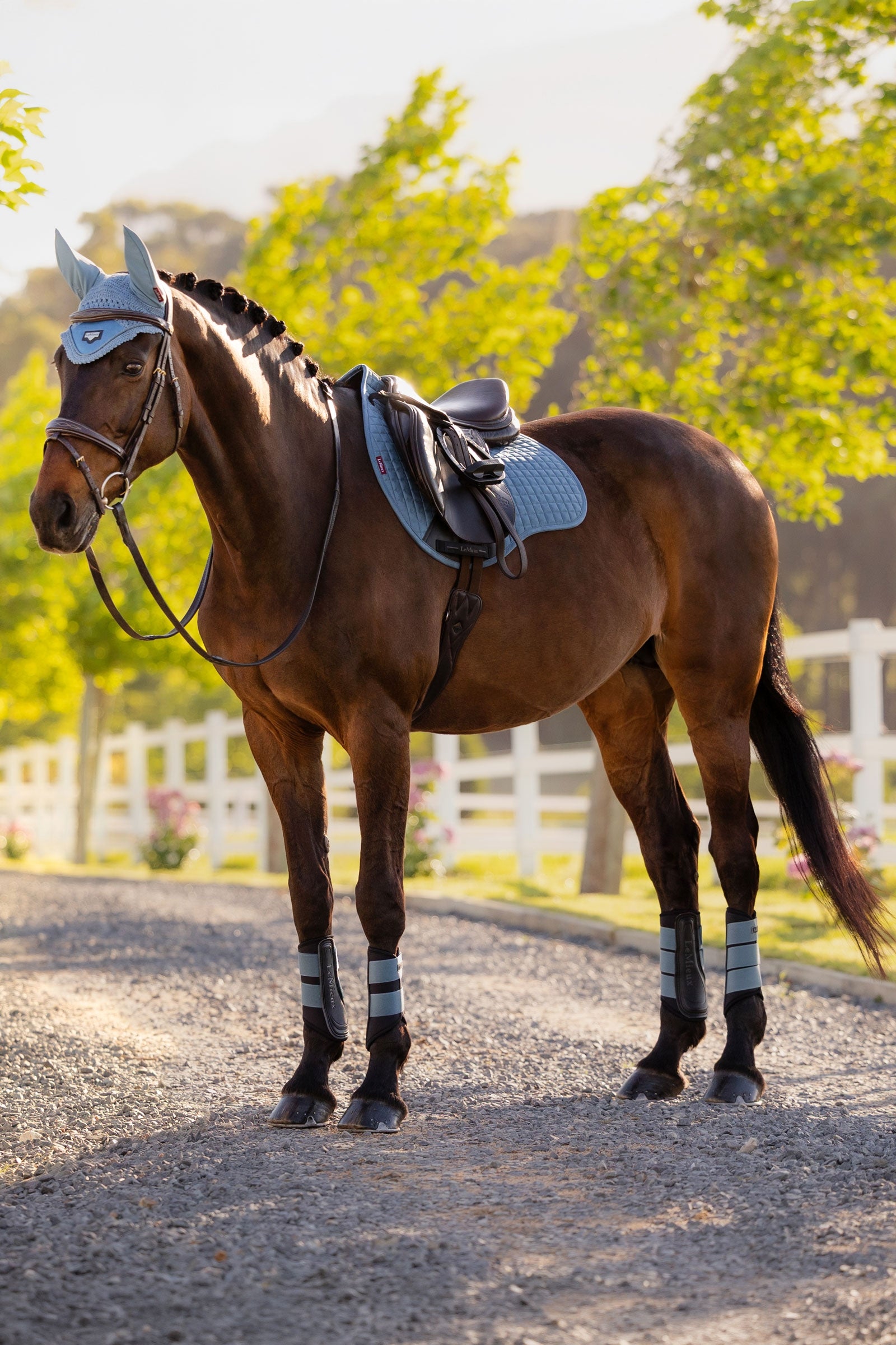 LeMieux Suede GP Square Saddle Pad Saddle Pads