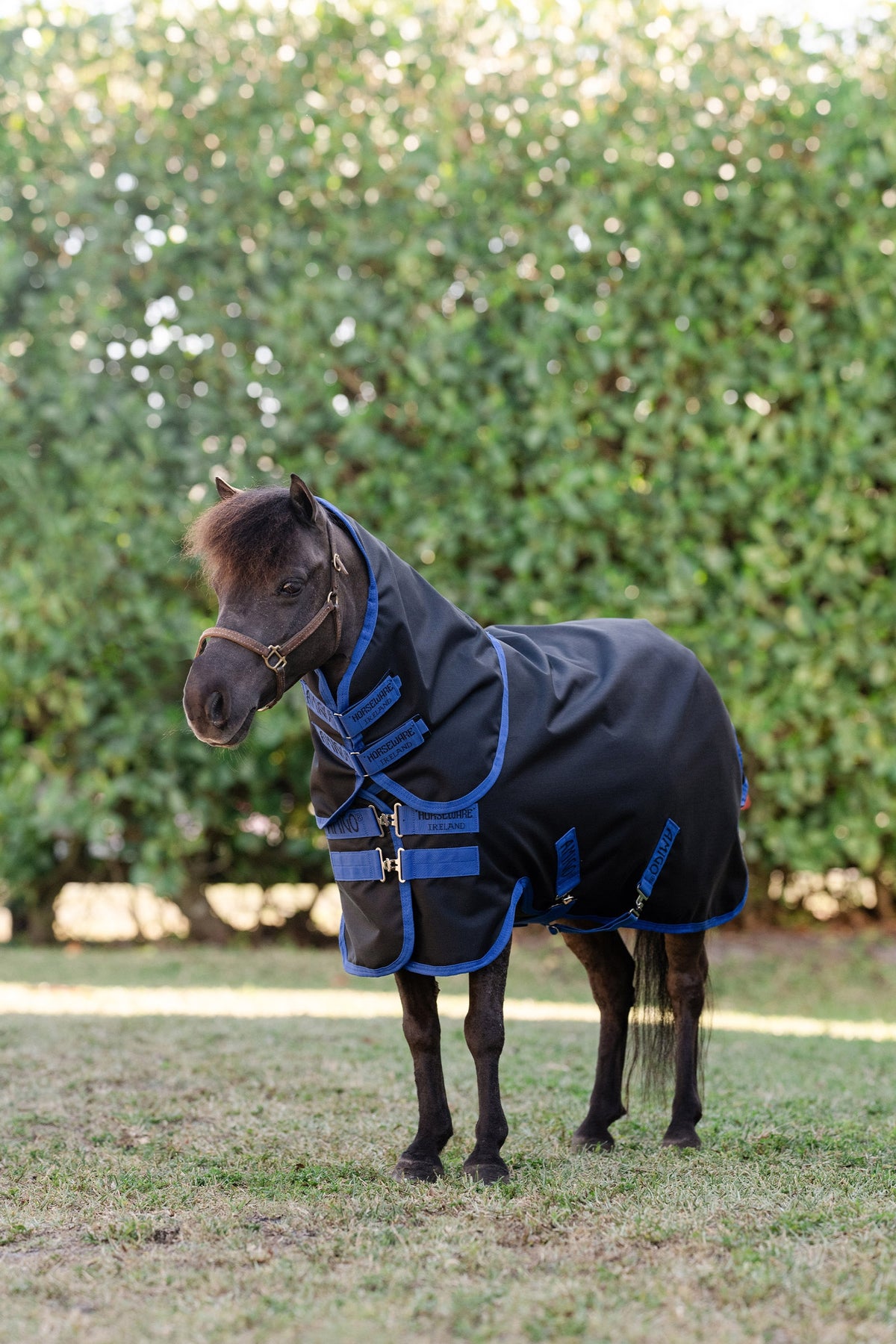 Horseware Amigo Ripstop 900D Plus Petite utedekken med avtakbar halsdel, 0 g Dekken