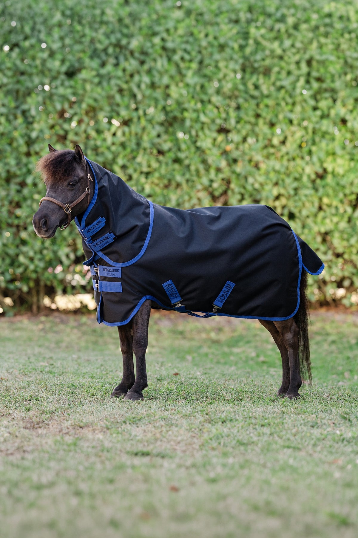 Horseware Amigo Ripstop 900D Plus Petite Turnout With Detachable Neck, 0 g Horse Rugs