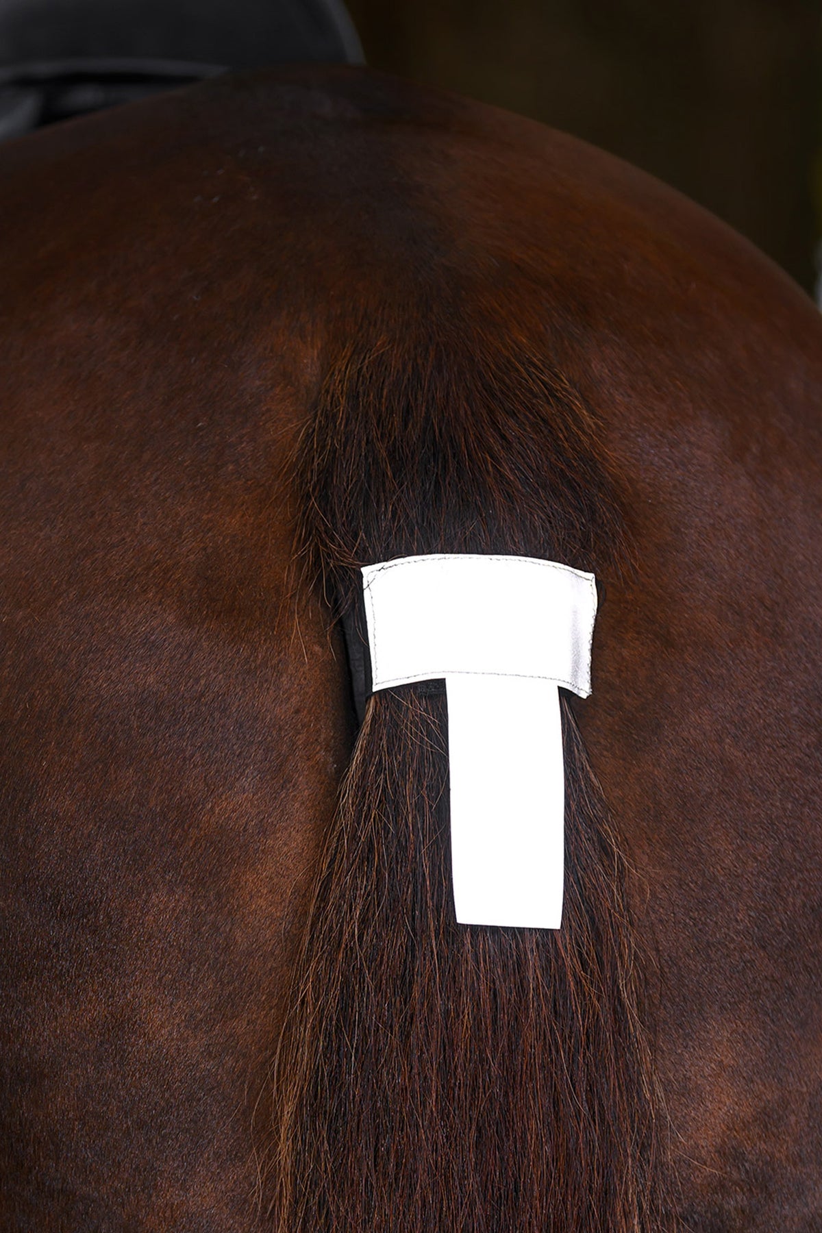 Waldhausen REFLEX Tail Cord Reflective
