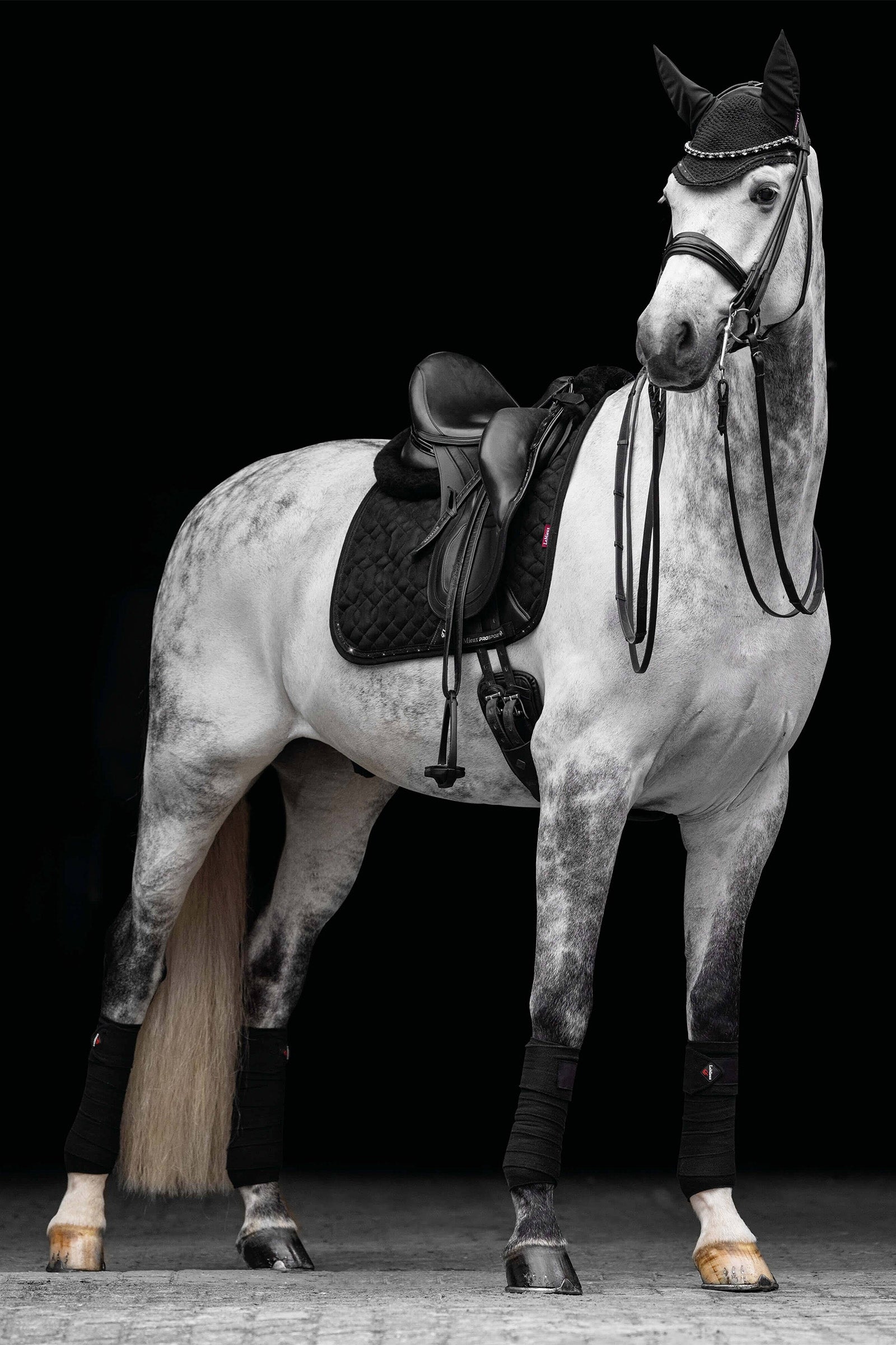 LeMieux Crystal Suede Dressage Pad Saddle Pads