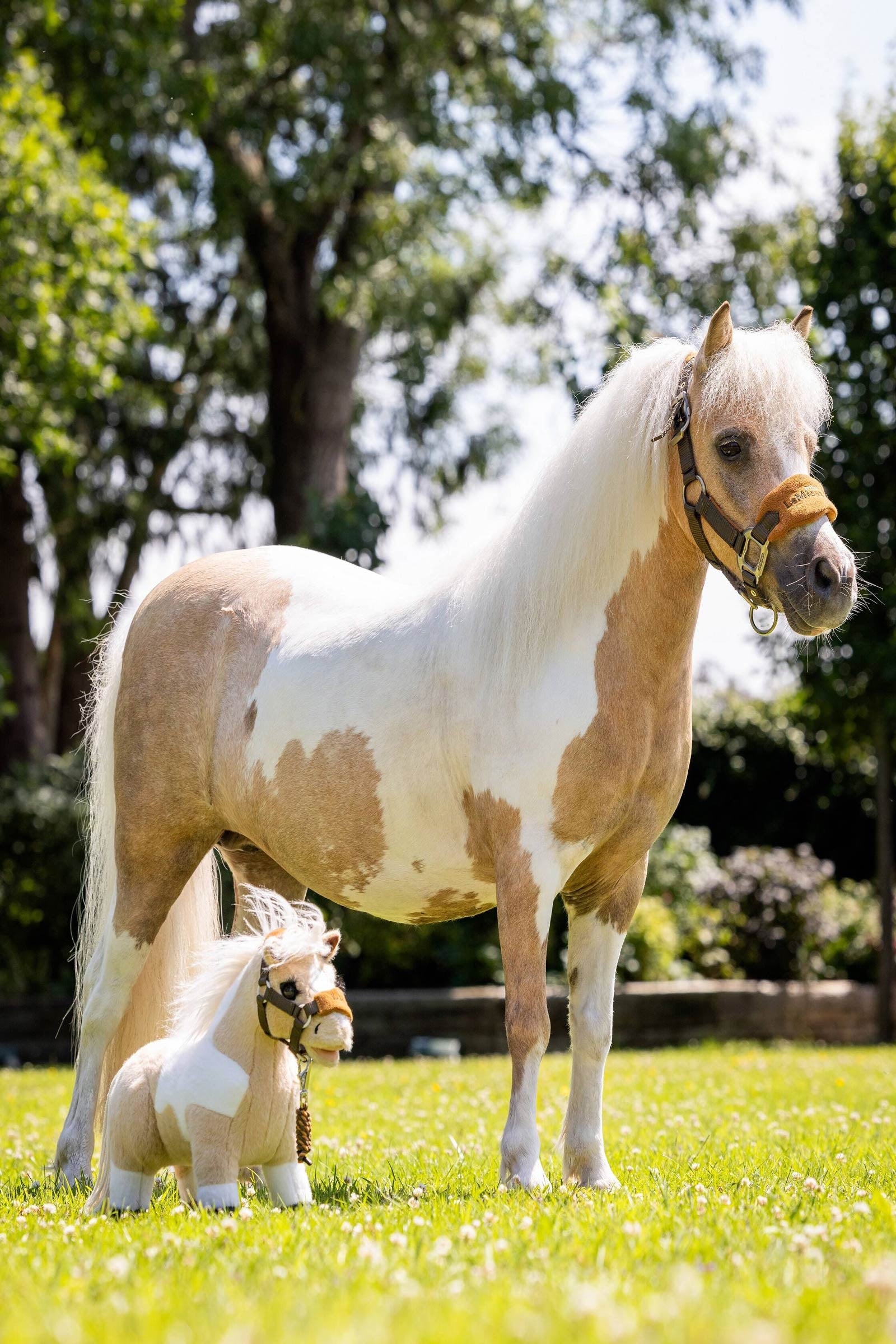LeMieux Lemon Toy Pony  Gifts & Toys