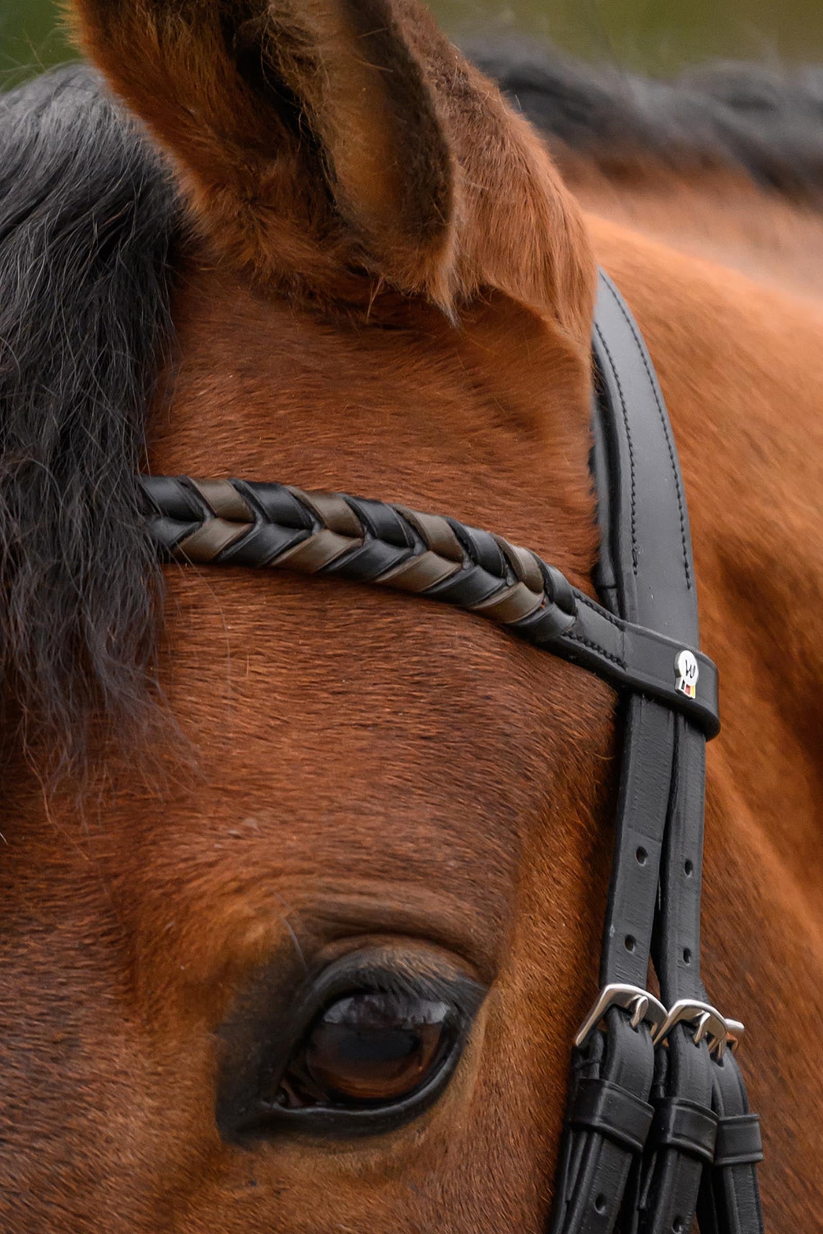 Waldhausen X-Line Braided Browband Bridles & Reins