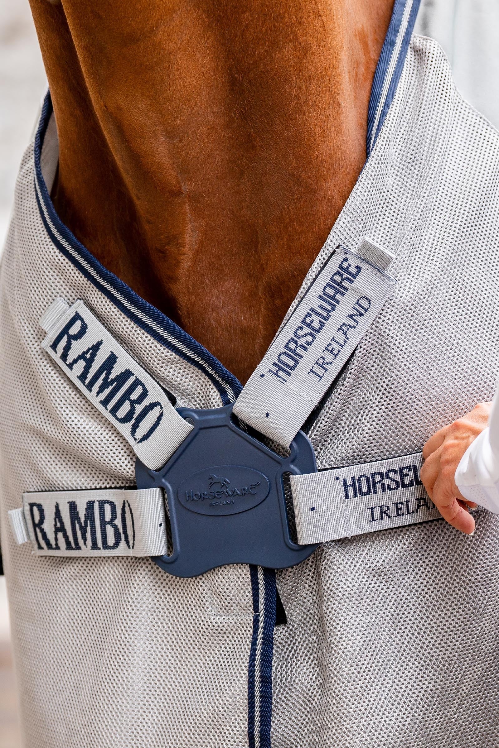 Horseware Rambo Autumn Series Turnout Rug With Liner (0g / 100g) Horse Rugs