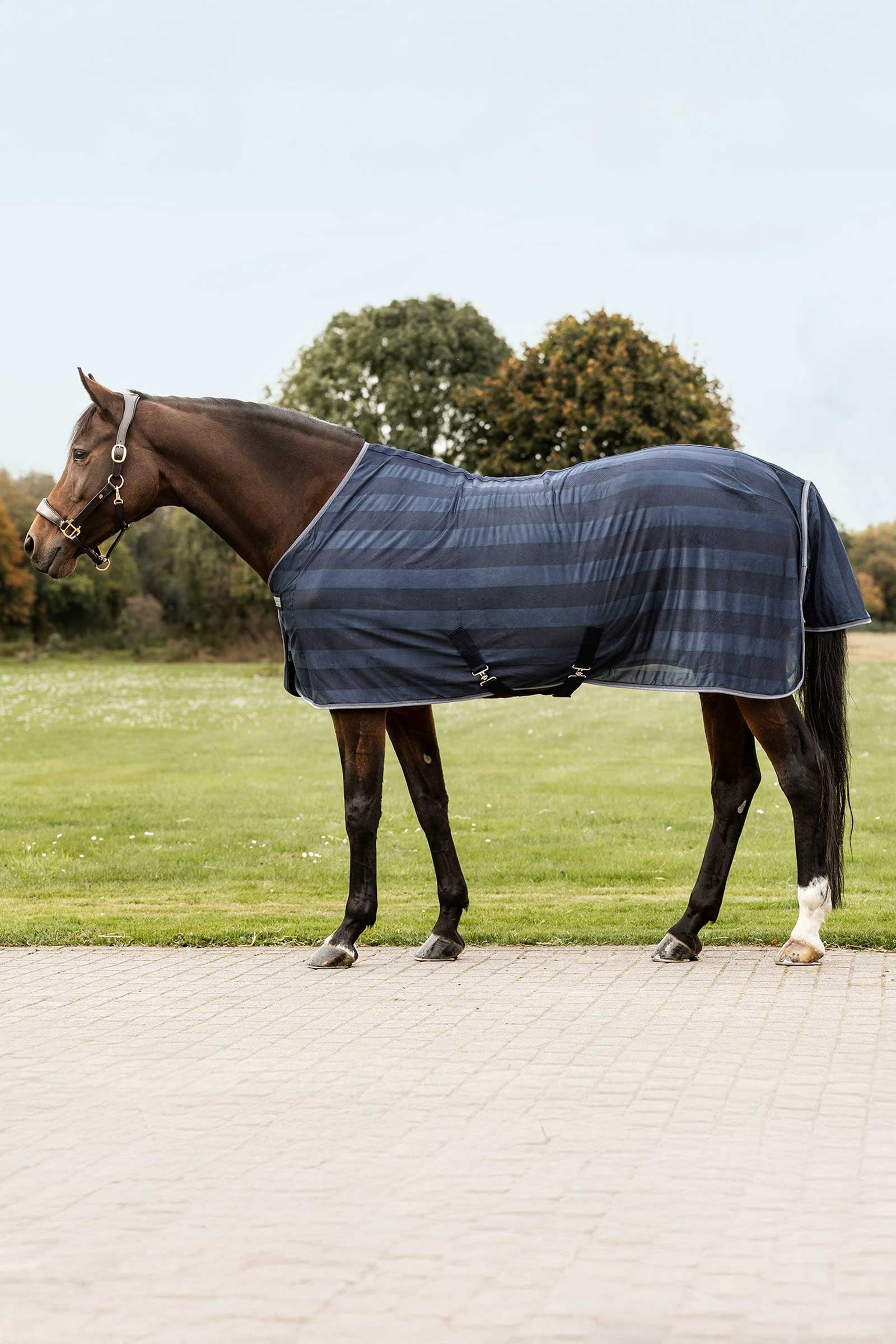 Waldhausen Economic Fly Rug Horse Rugs