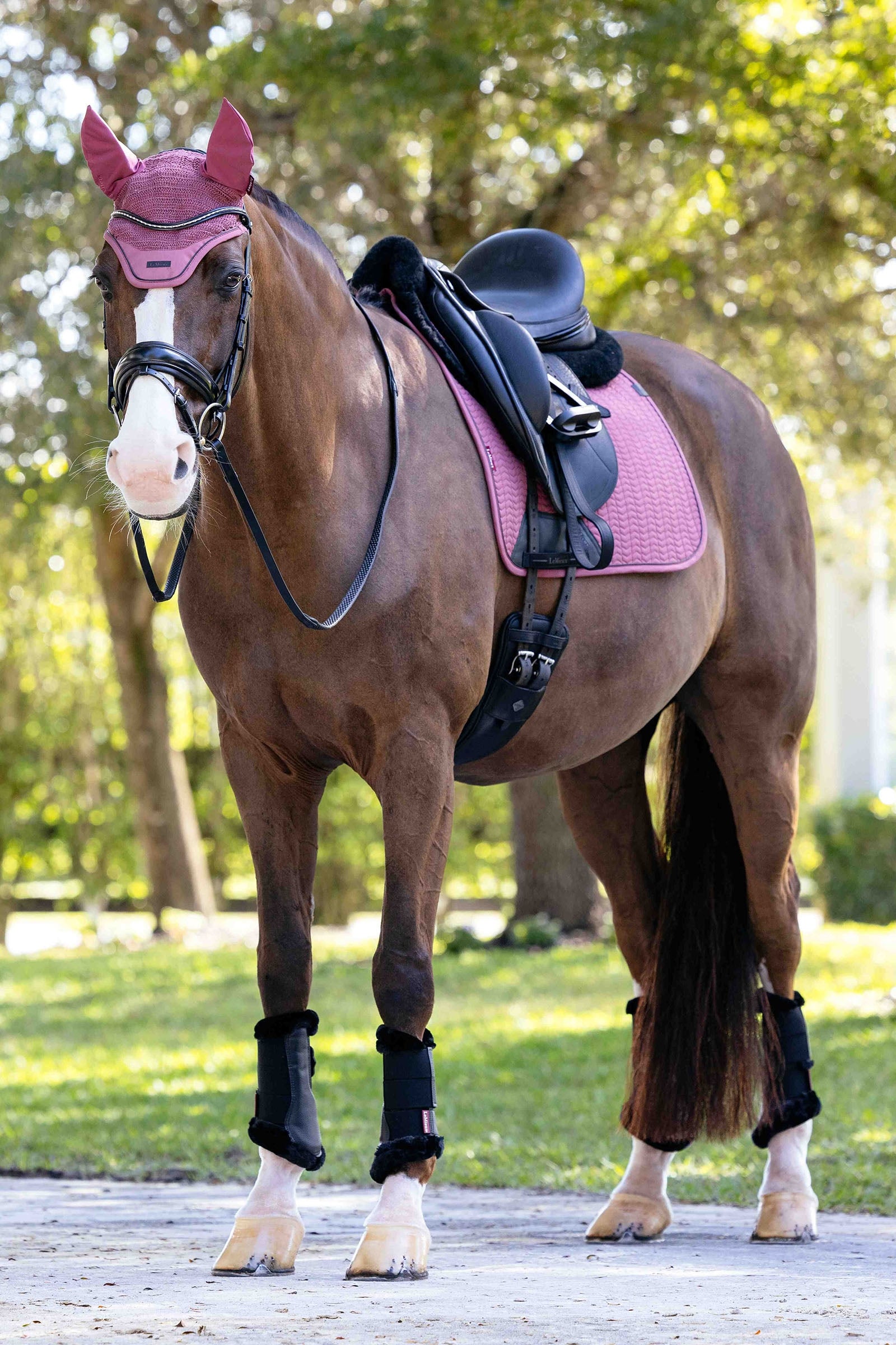 LeMieux Essence Dressage Saddle Pad Saddle Pads