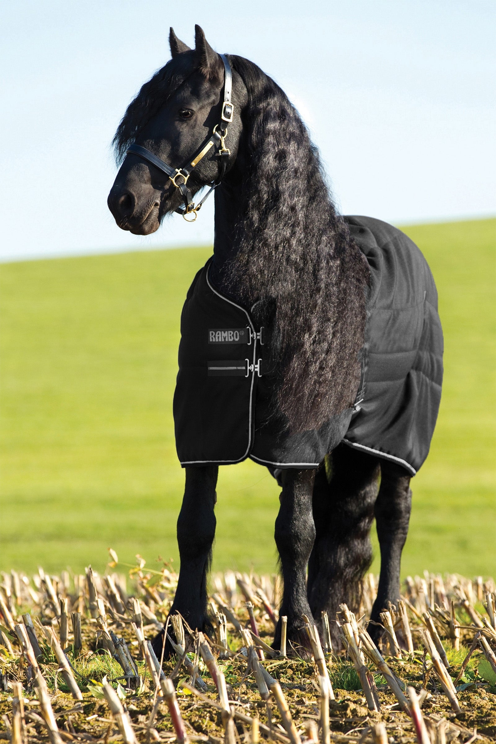 Horseware Rambo stalldekken, 200 gram Dekken