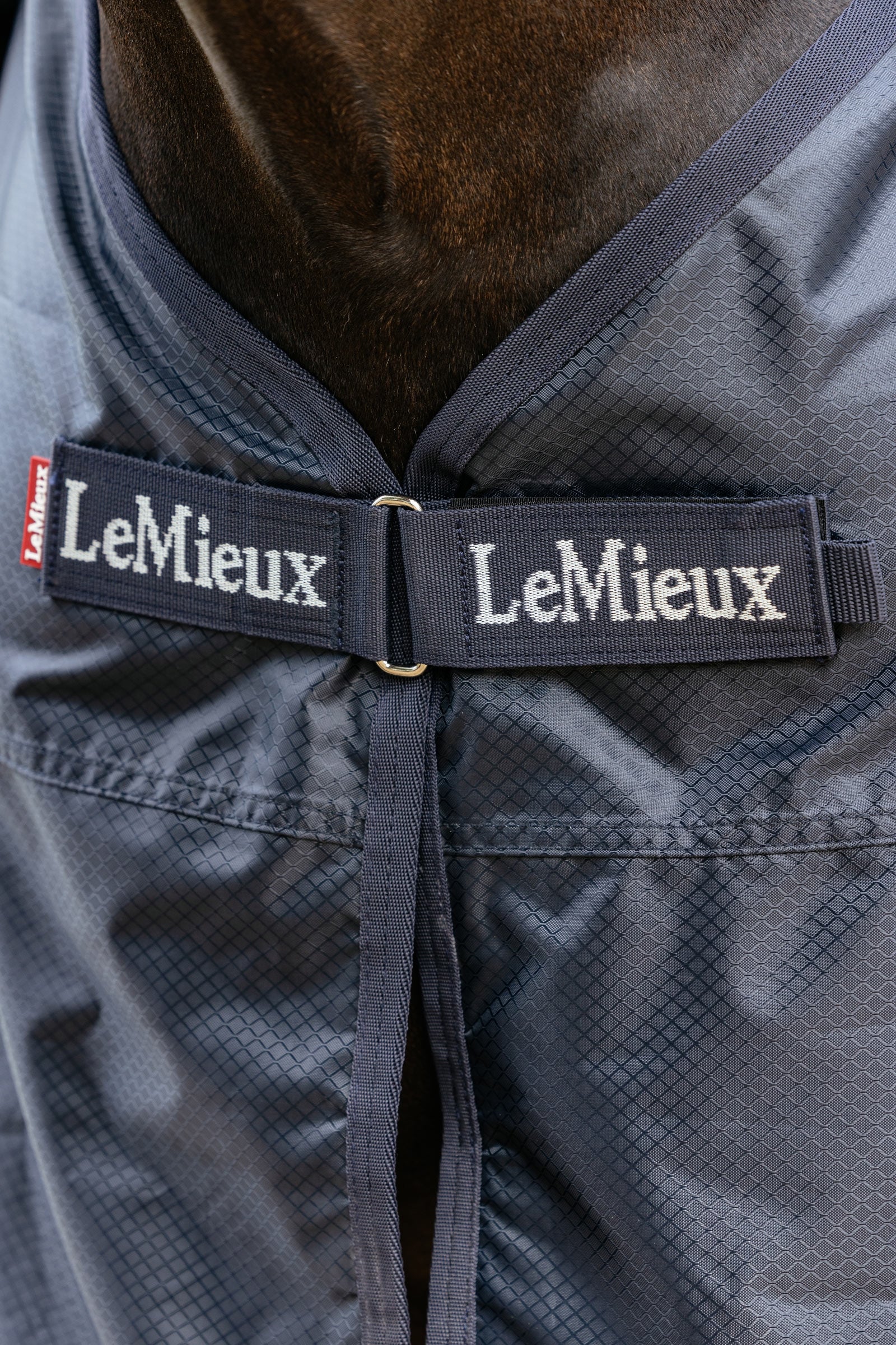 LeMieux Exercise Rain Sheet With Fixed Neck Horse Rugs