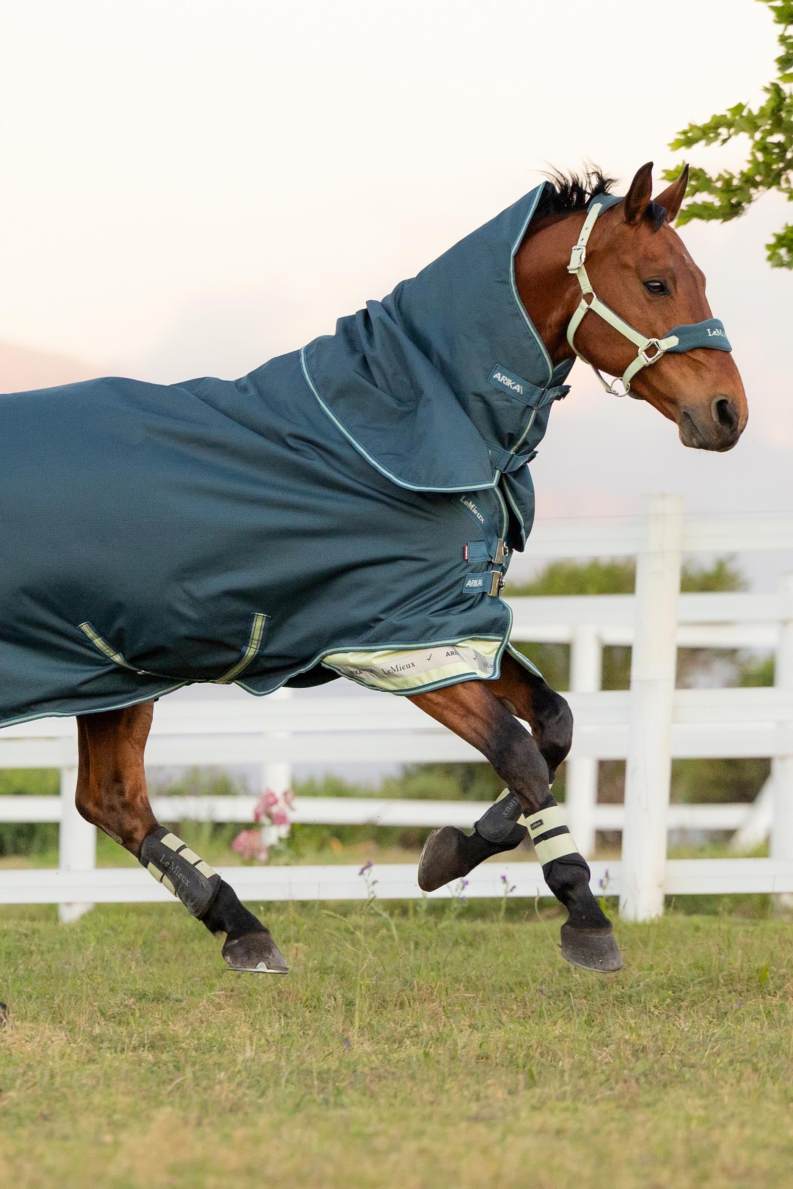 LeMieux Arika Ripstop Turnout Rug With Detachable Neck, 0 g Horse Rugs