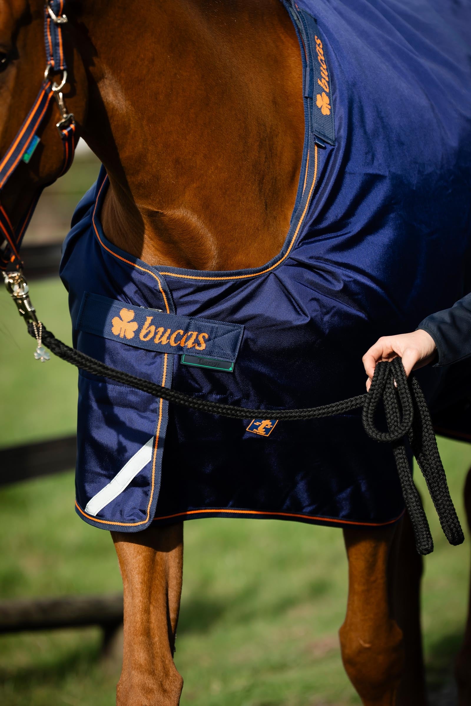 Bucas Therapy Turnout Rug Light, 50g Horse Rugs