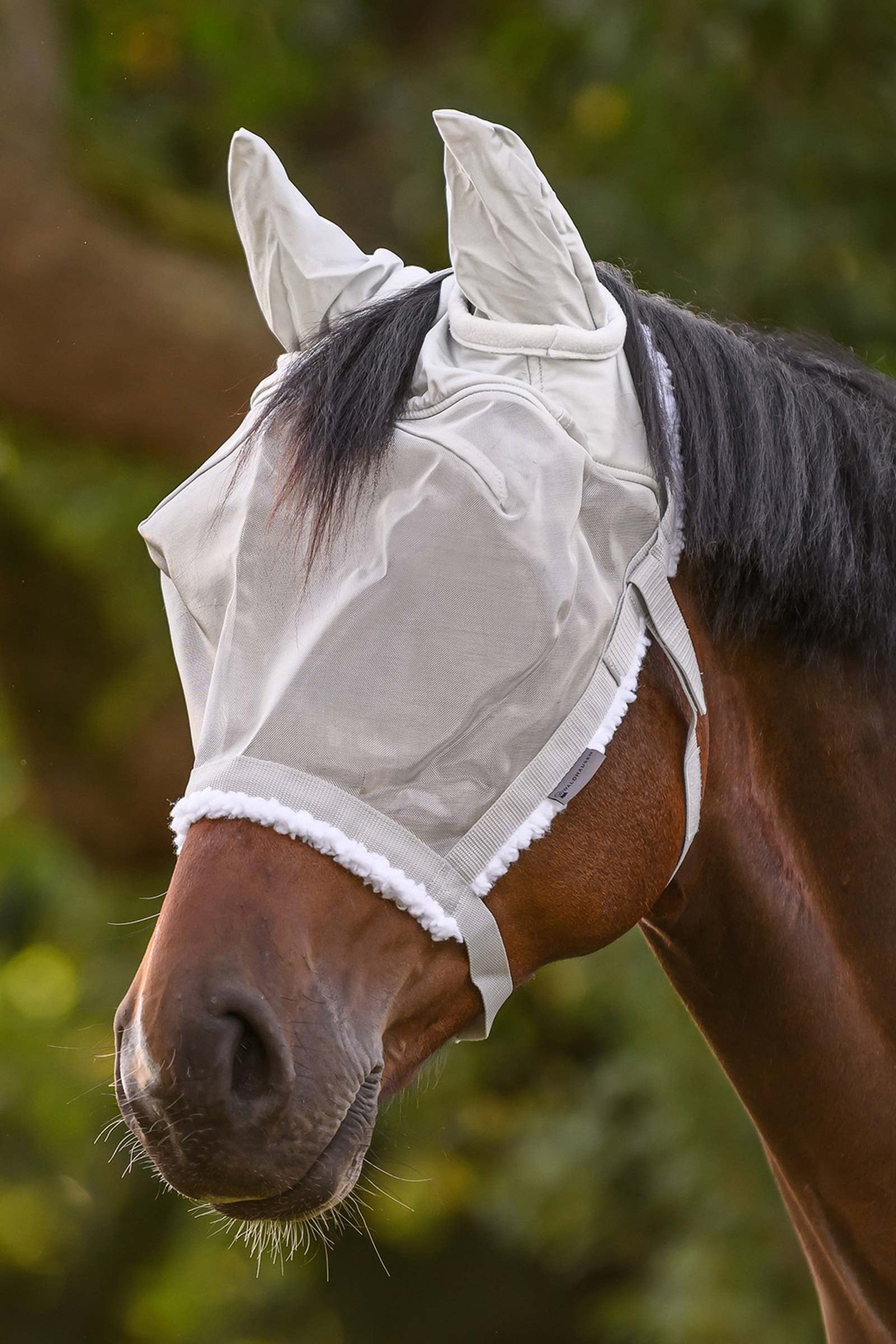 Waldhausen Grazing Halter With Fly Mask Antifly Protection for Horses
