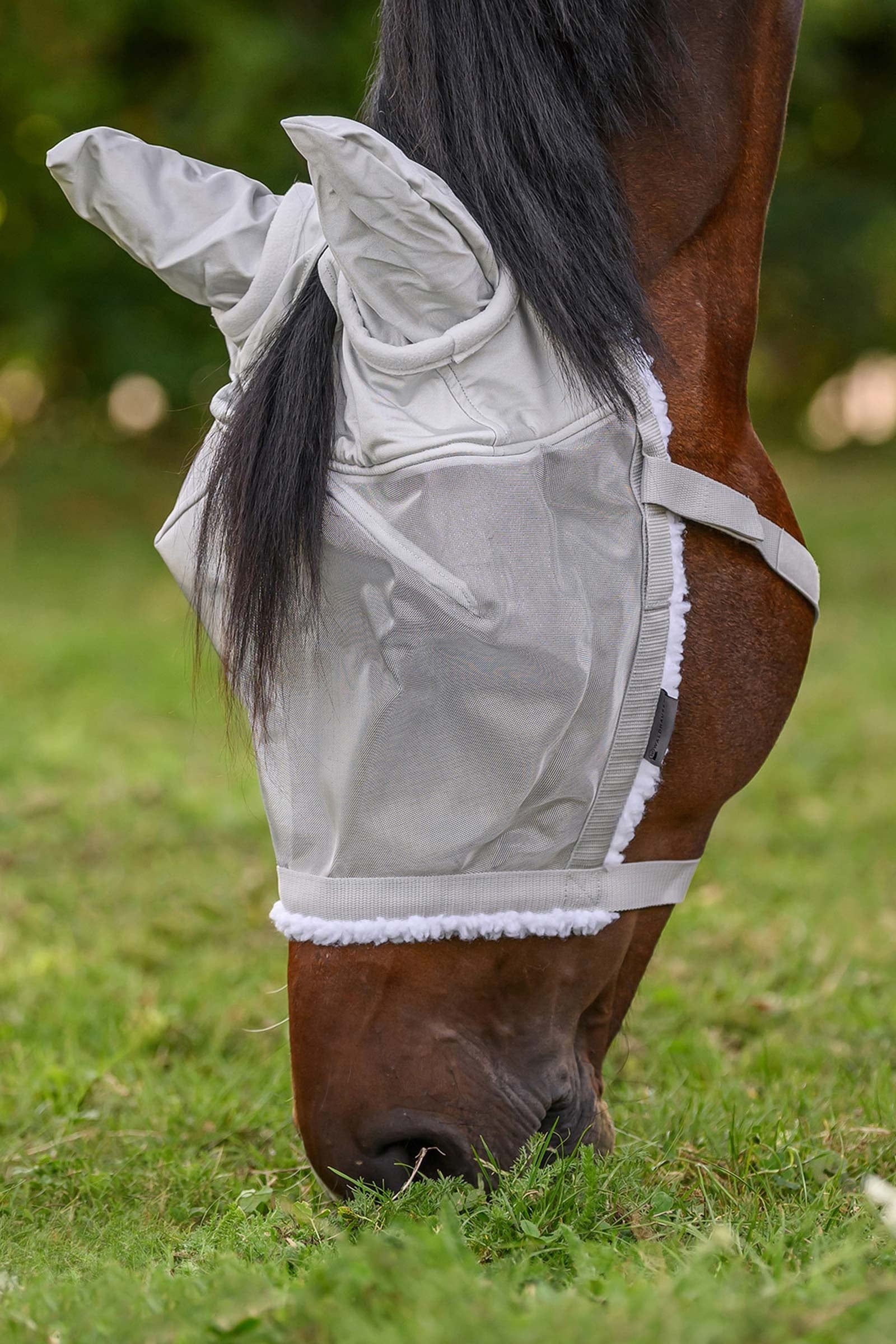 Waldhausen Grazing Halter With Fly Mask Antifly Protection for Horses