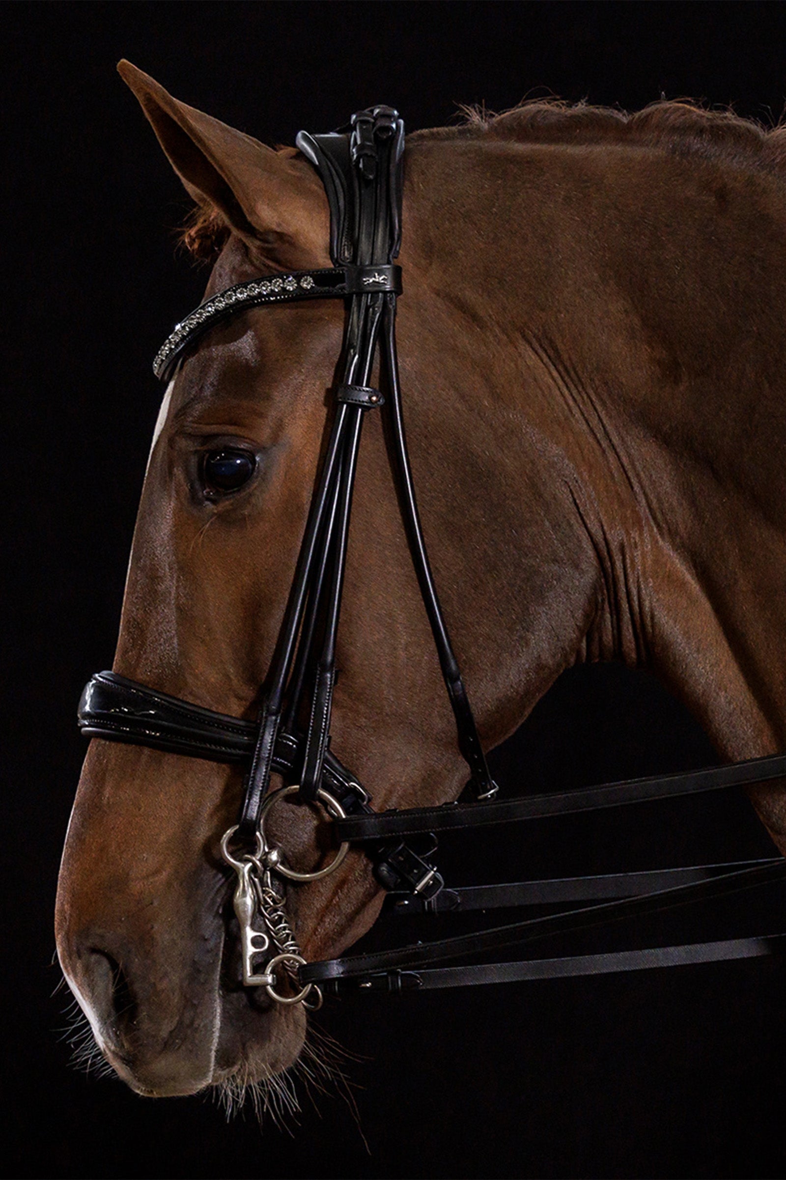 Schockemöhle Sports Kensington Double Bridle rolled Bridles & Reins