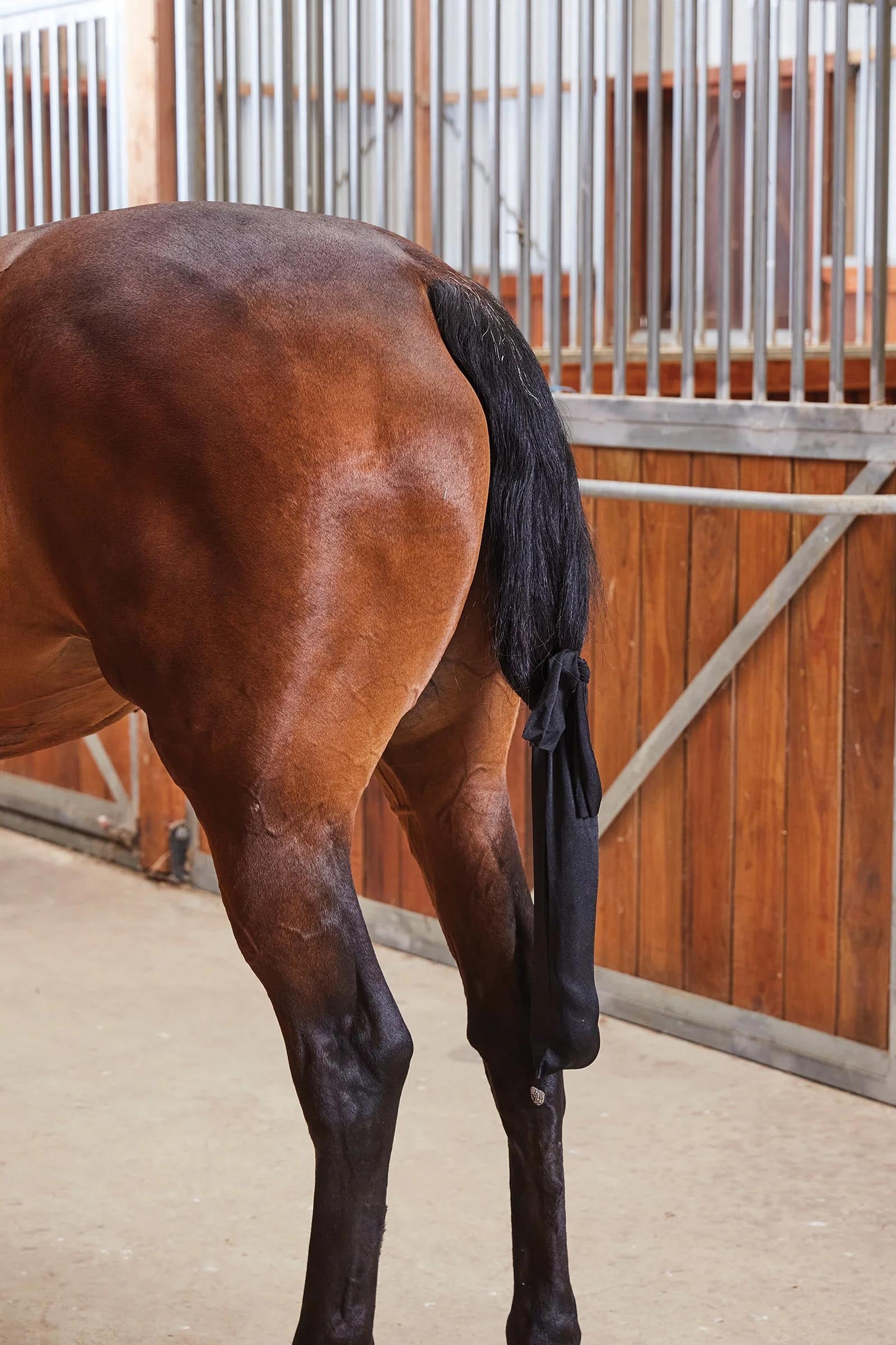 Weatherbeeta elastane Tail Bag Horse Rugs