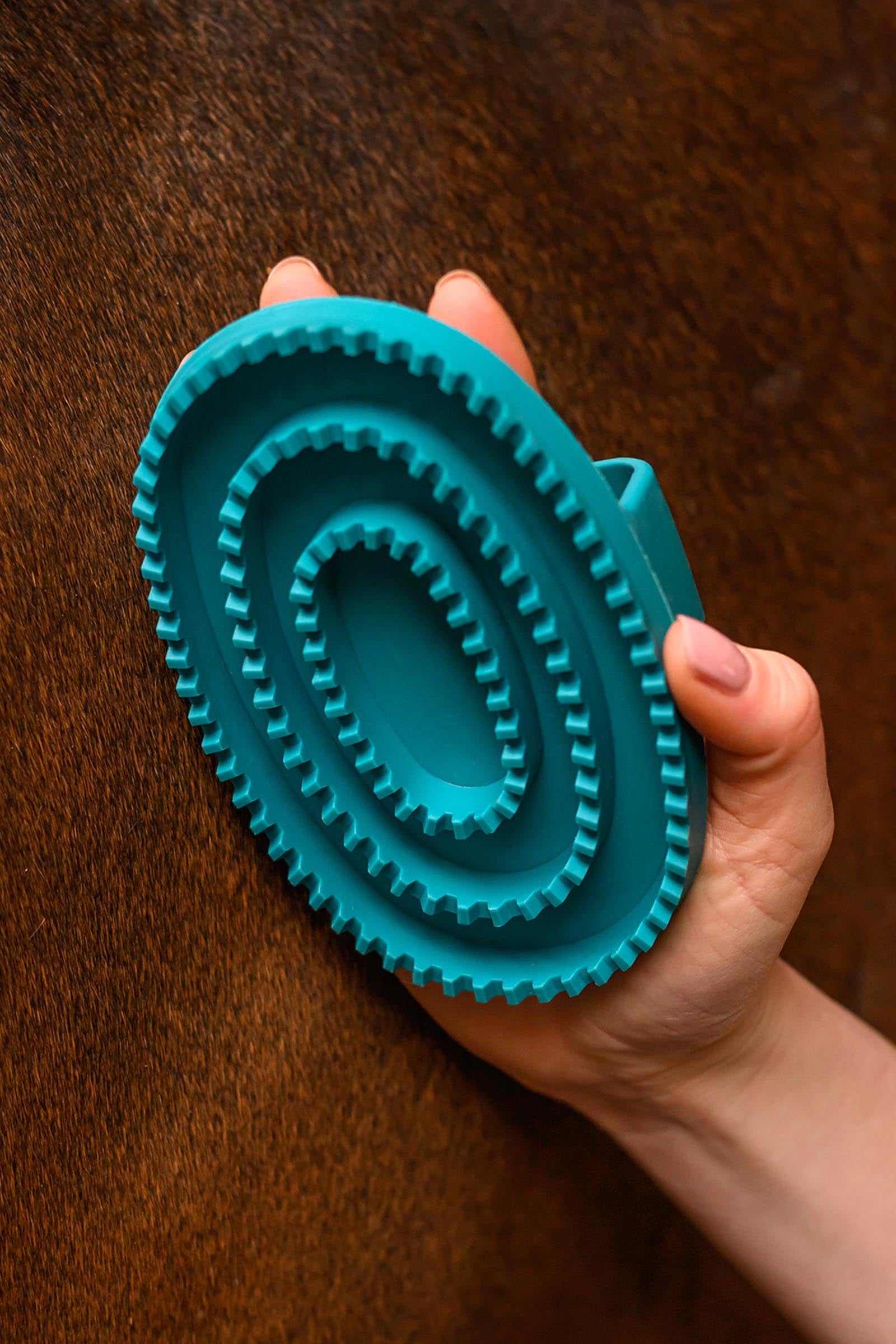 Waldhausen Rainbow Curry Comb Horse Grooming Tools