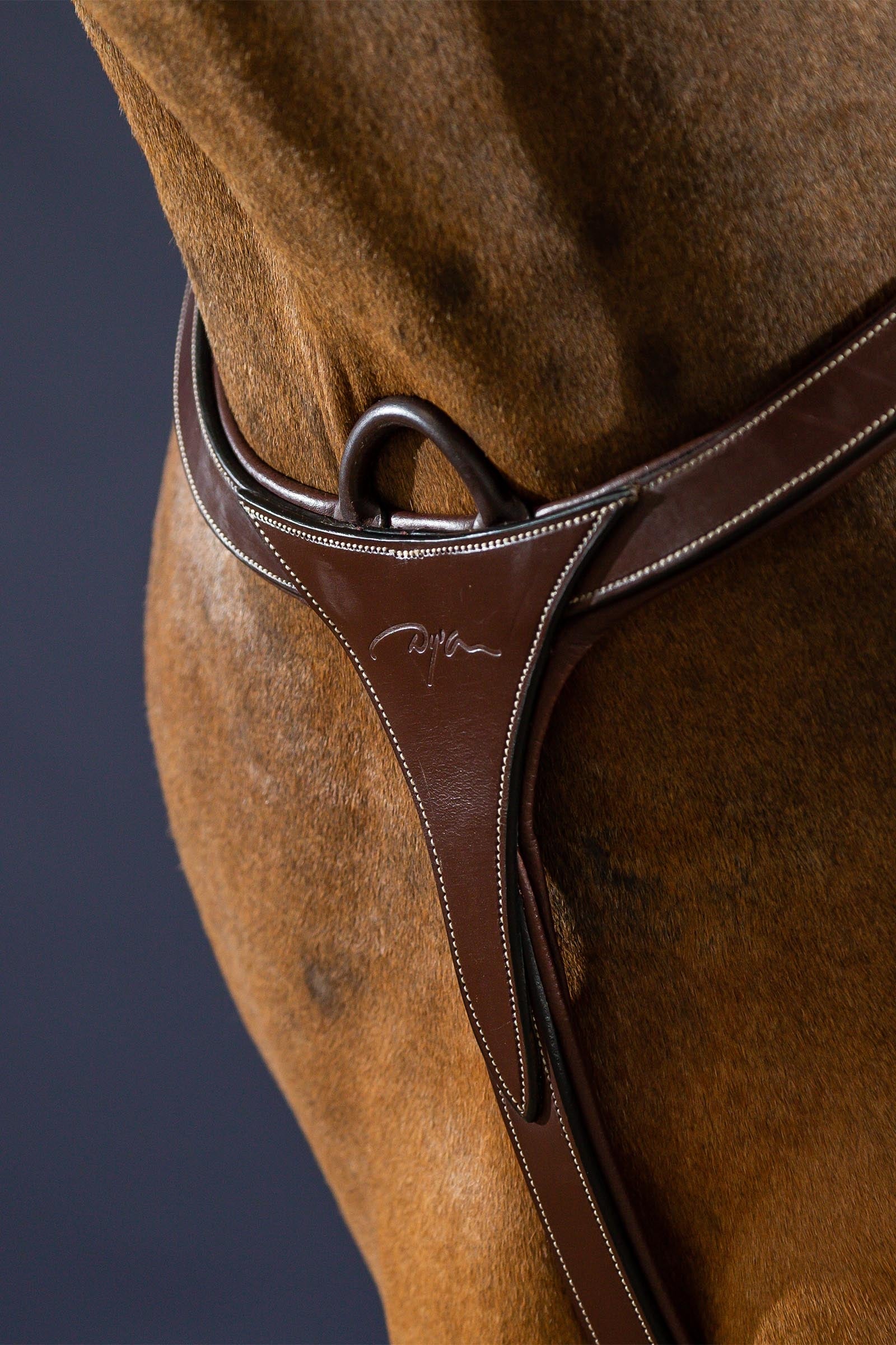 Dy'on D Collection Long Bridge Breastplate  Bridles & Reins