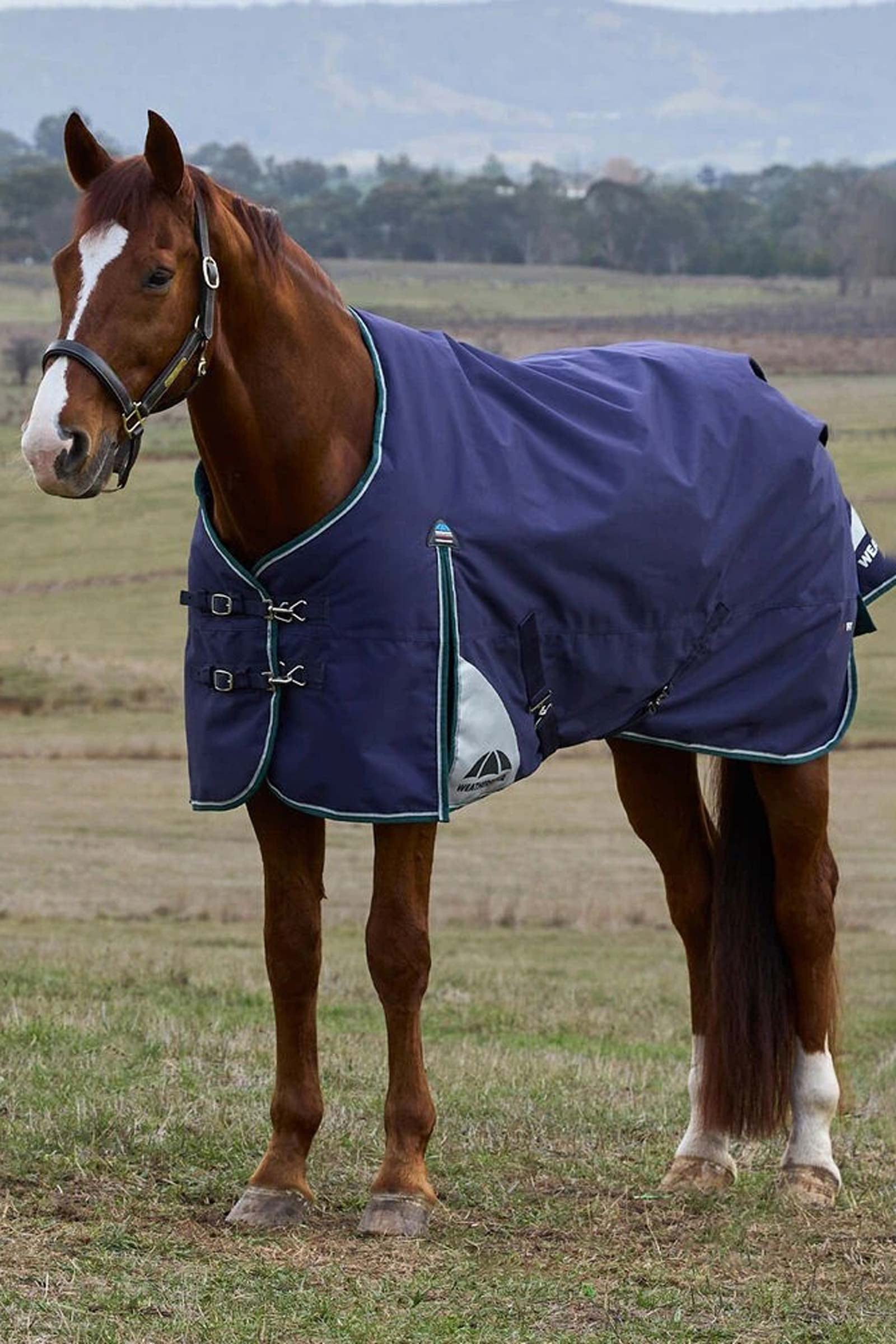 Weatherbeeta ComFiTecPlus Dynamic Turnout Rug, 0 g Dekken