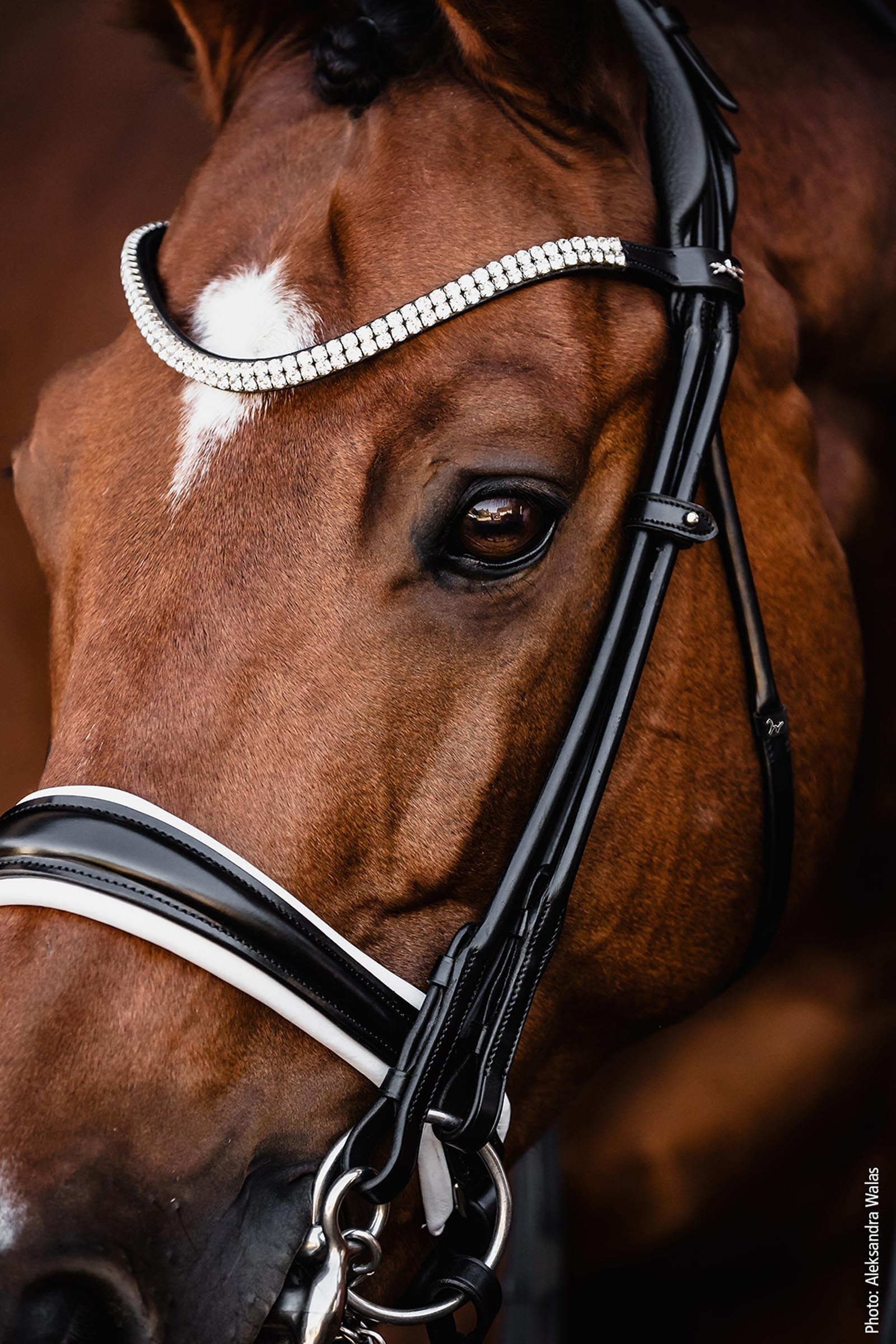 Schockemöhle Sports Bella Rose Double Bridle - Isabell Werth Collection Bridles & Reins