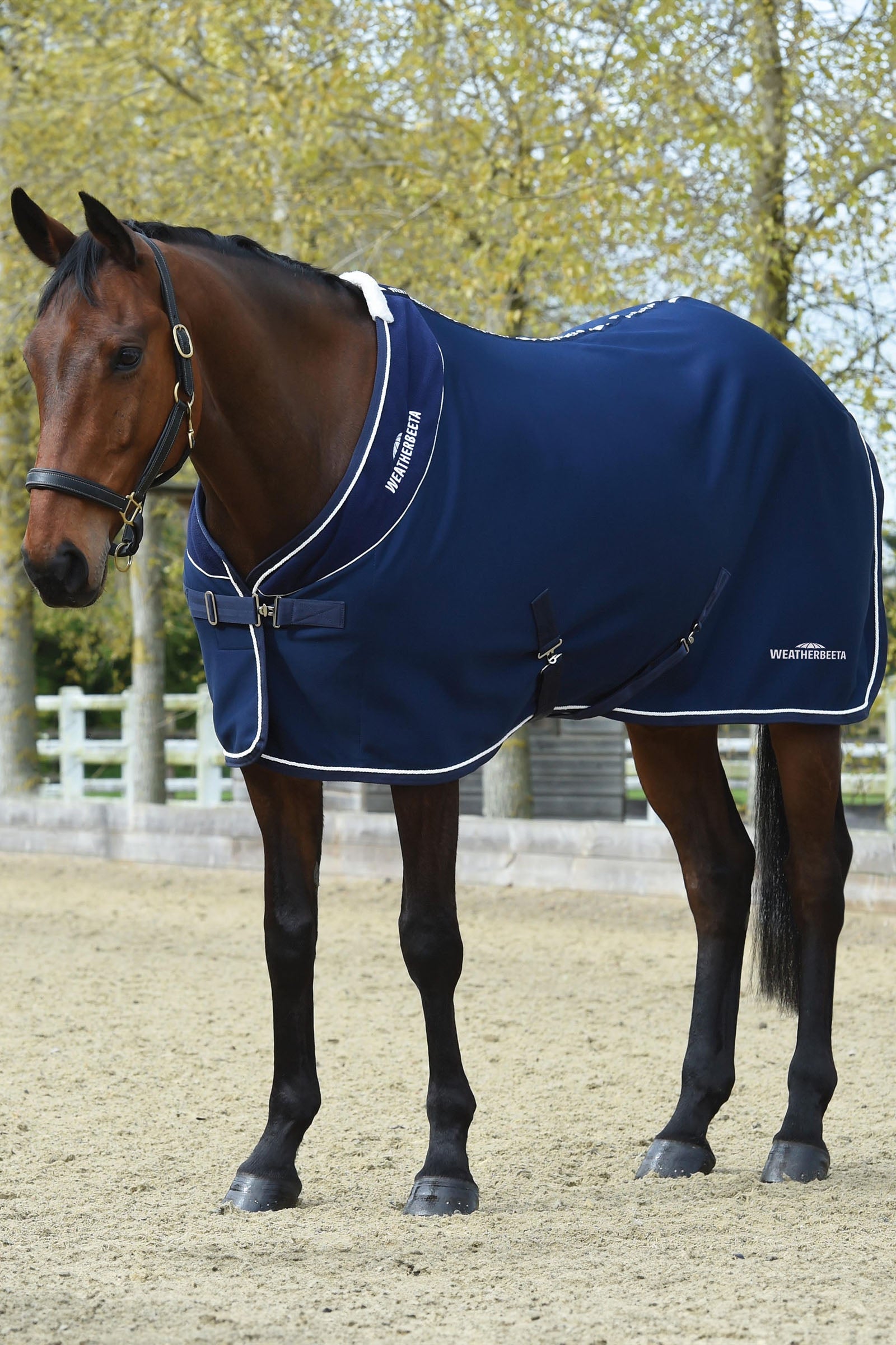 Weatherbeeta Opulence Showdekken Standard hals Dekken