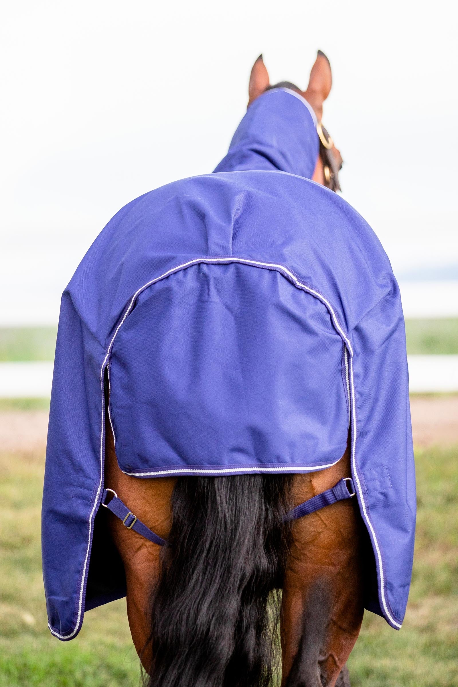 Horseware Amigo Hero 900 Plus Medium Turnout Rug, 200g Horse Rugs