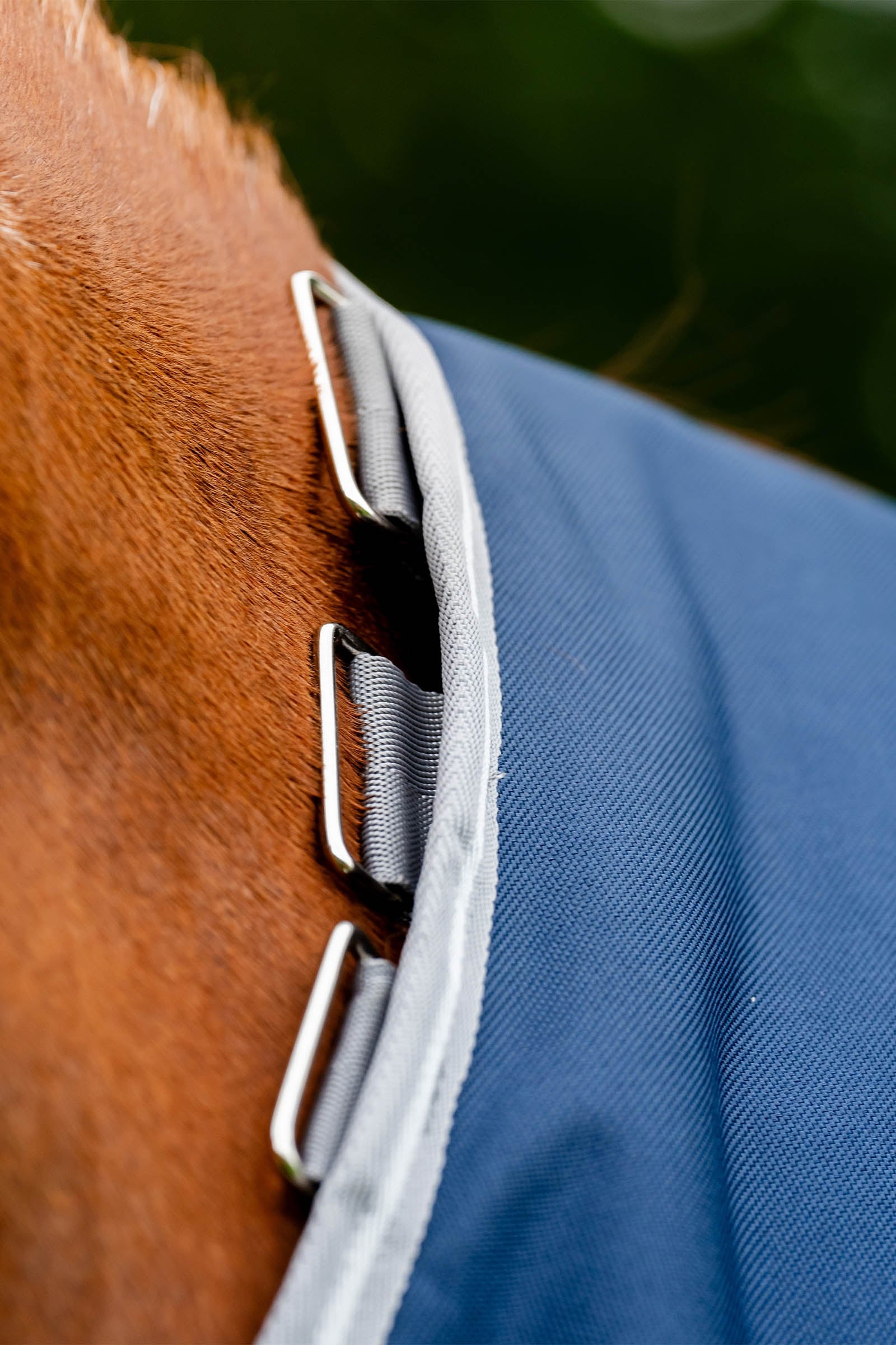 Horseware Amigo 1200D Turnout Rug, 100 g Horse Rugs