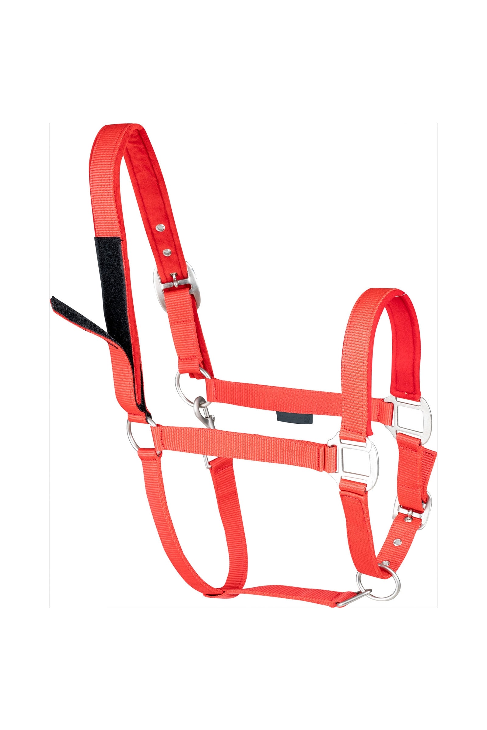 Waldhausen Clever-Open Safety Halter Halters & Leads