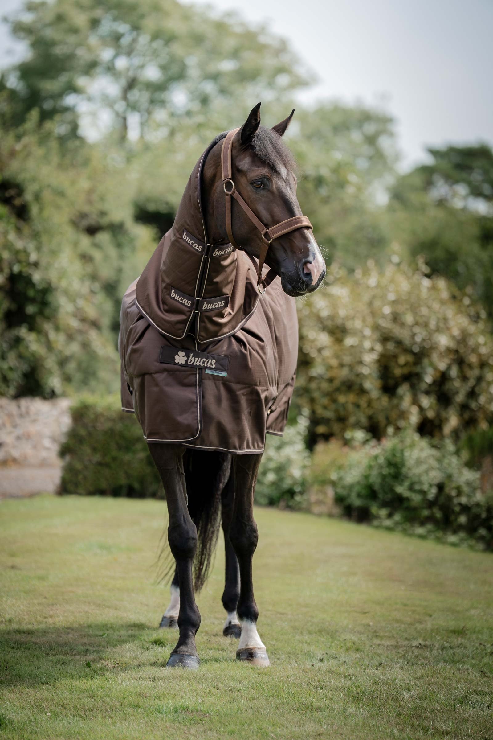 Bucas Irish Turnout 50 g Rug & Neck Dekken