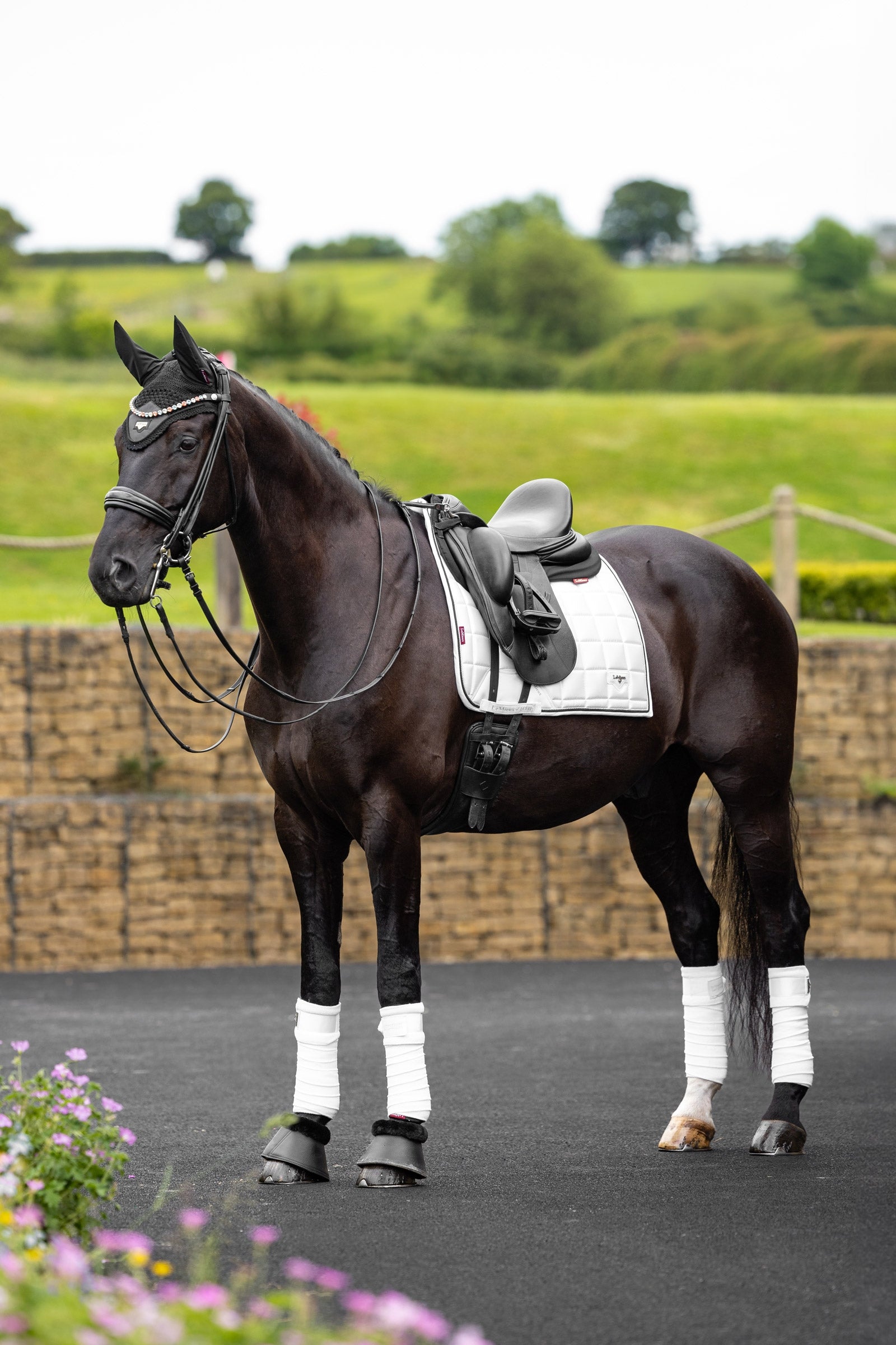 LeMieux Loire Classic Square Dressage Saddle Pad Saddle Pads