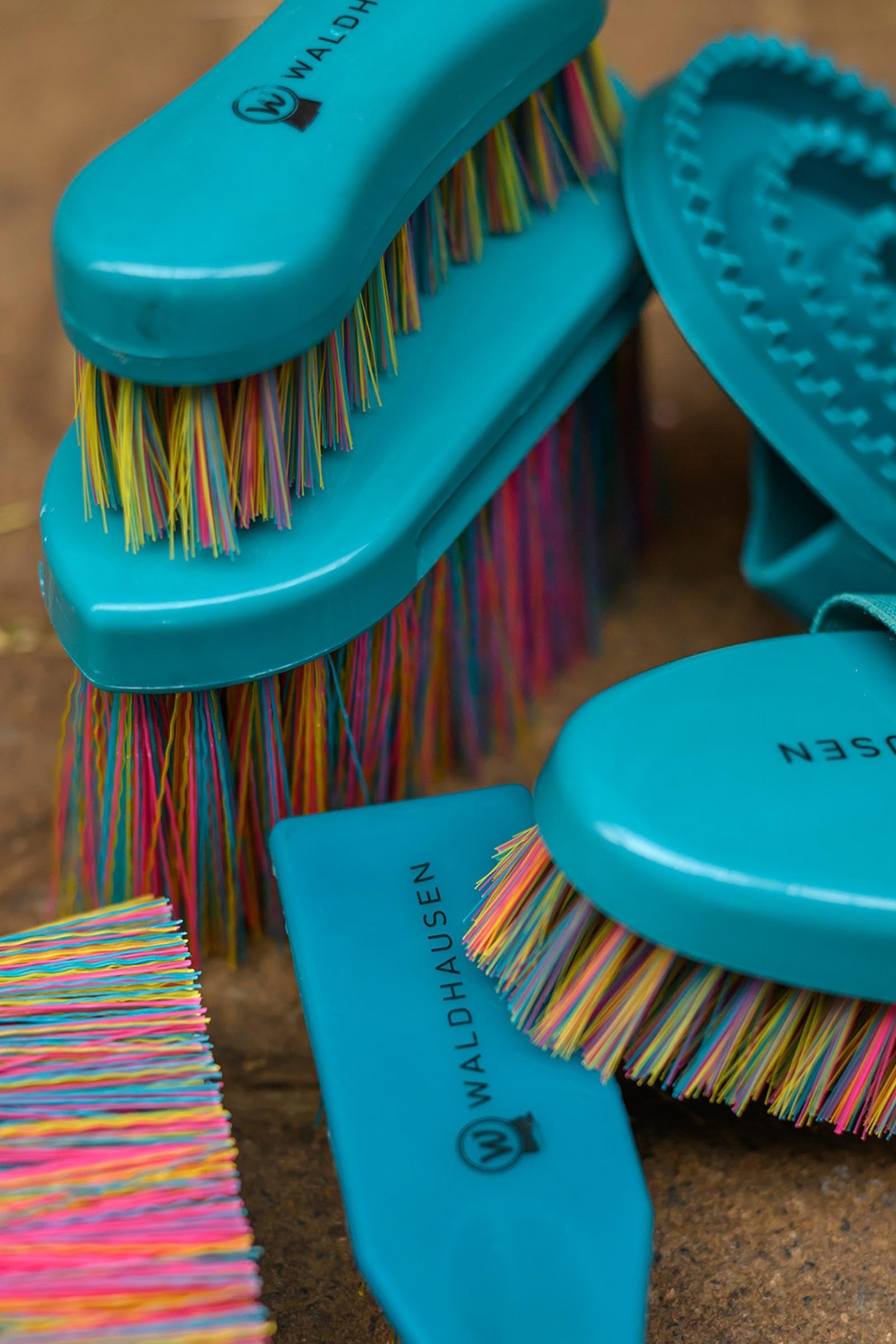 Waldhausen Rainbow Hoof Brush Horse Grooming Tools