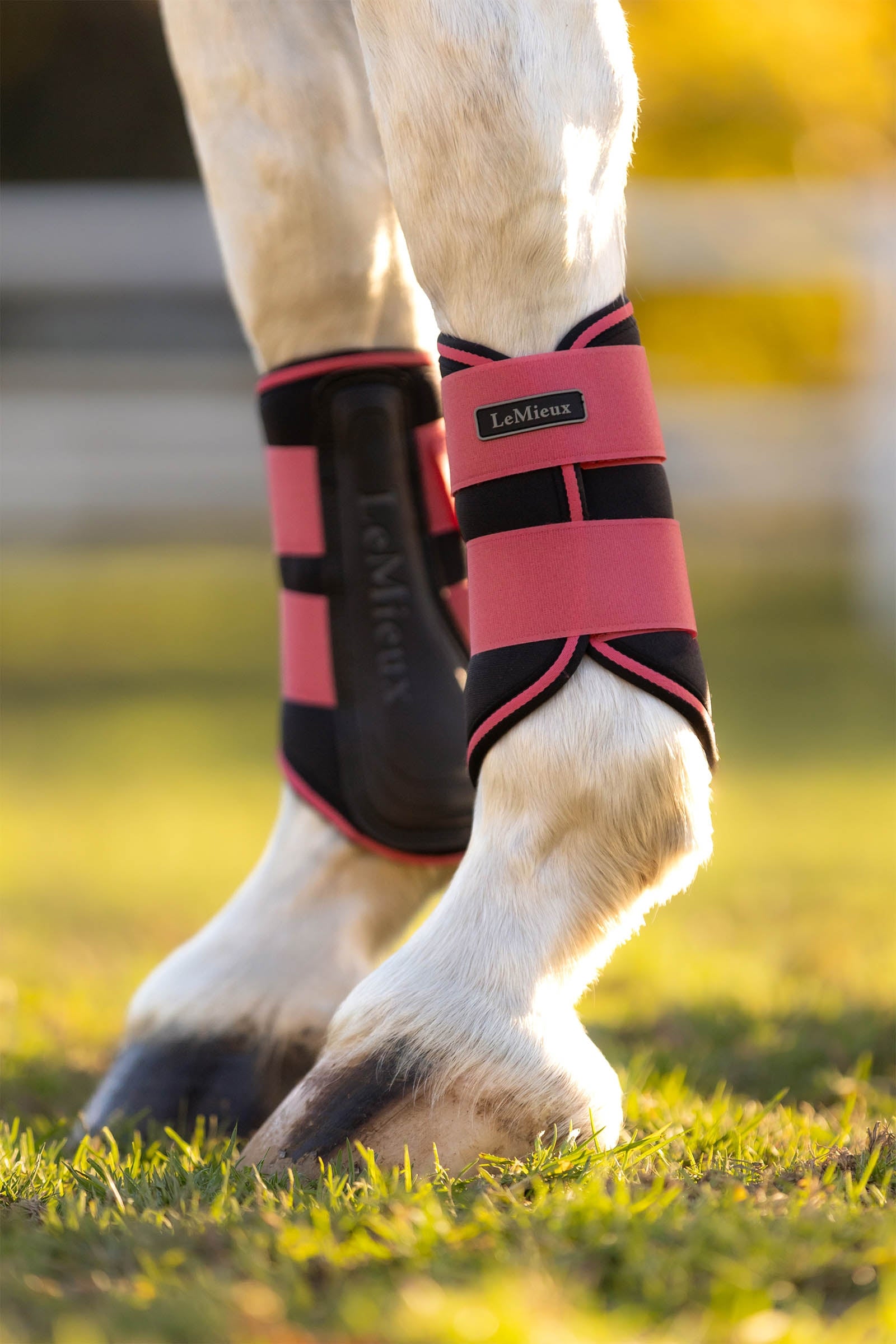 LeMieux Grafter Brushing Boots Leg & Hoof Protection