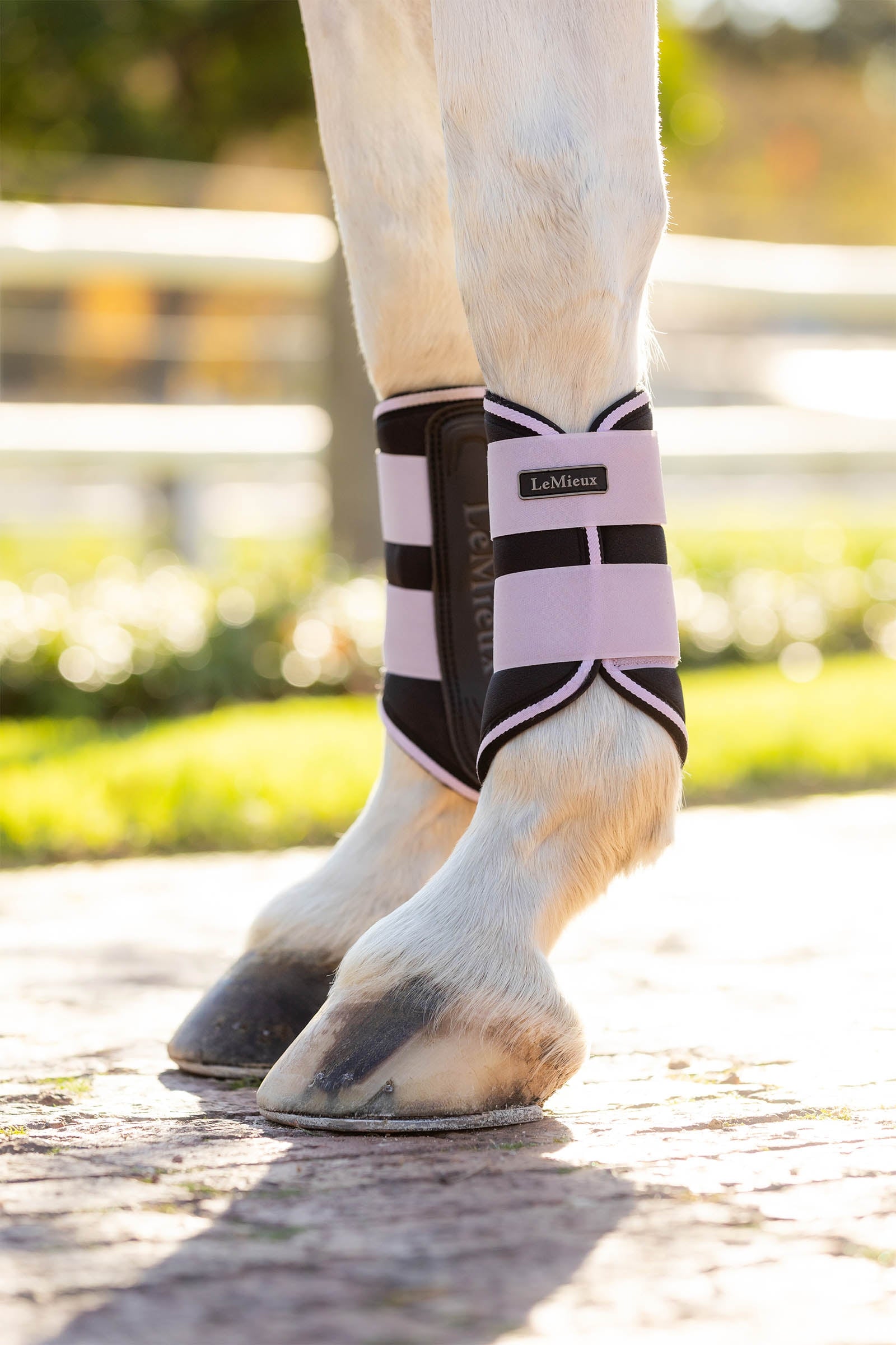 LeMieux Grafter Brushing Boots Leg & Hoof Protection