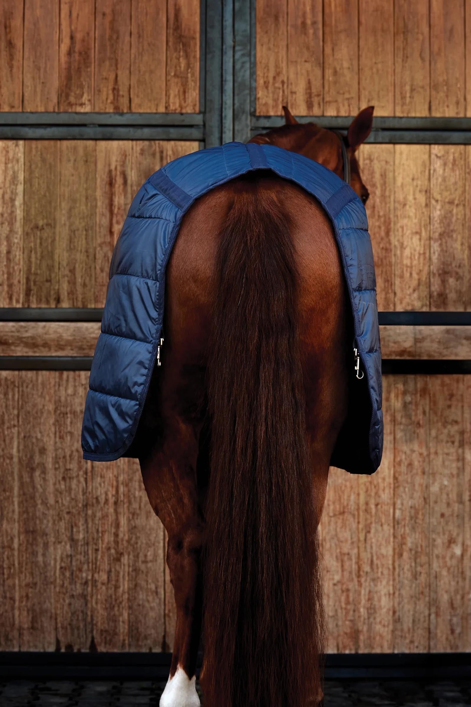 Weatherbeeta ComFiTec Liner 100G Horse Rugs