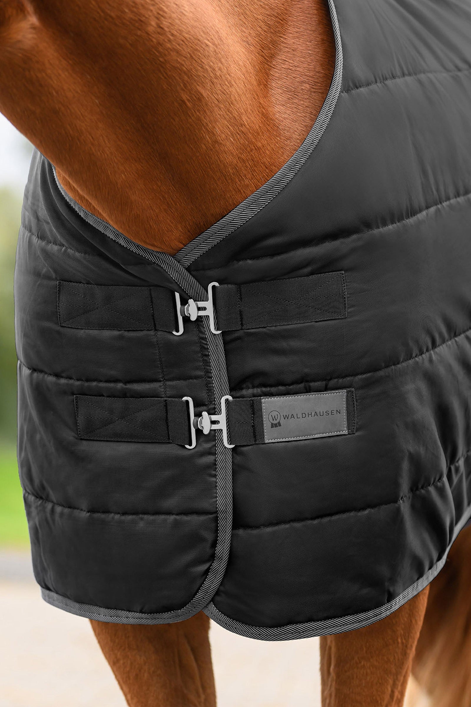 Waldhausen ECONOMIC 420D Stable Rug, 300 g Horse Rugs