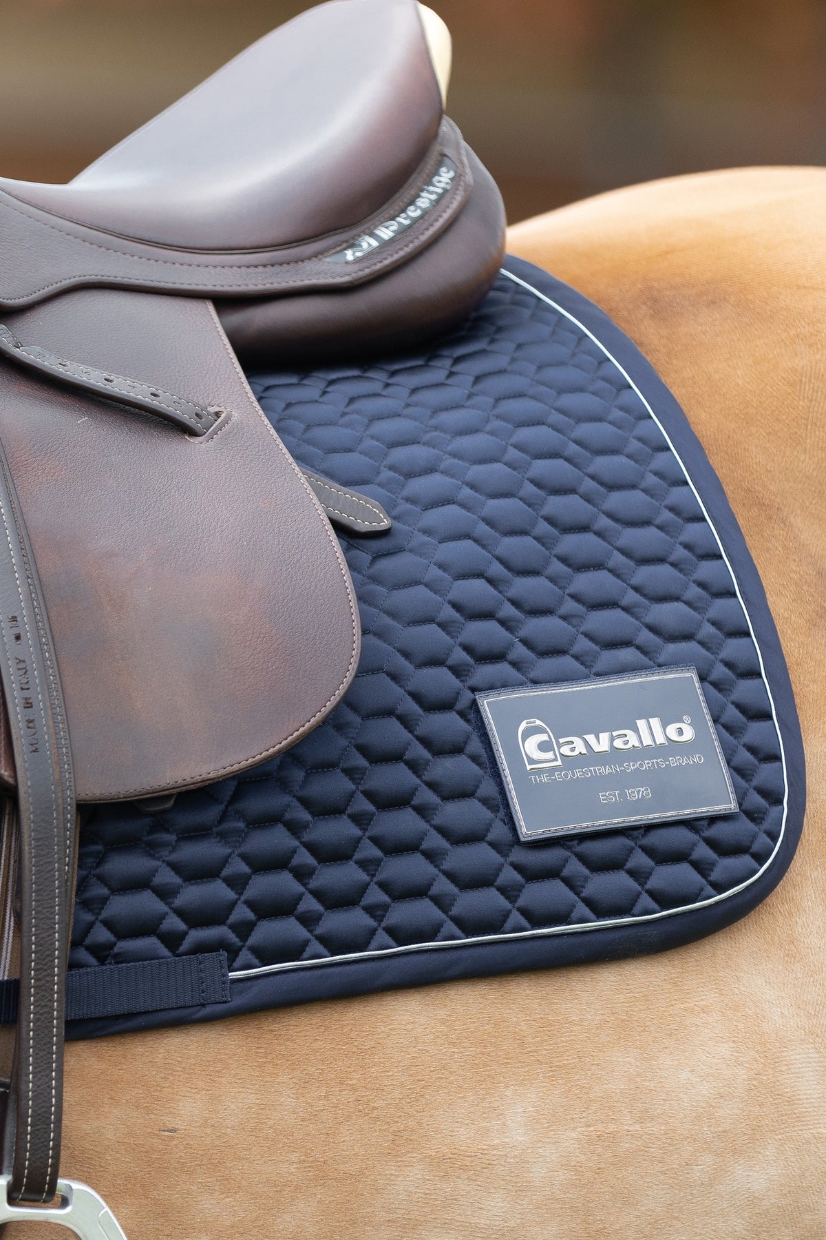 Cavallo CAVALJOLLY All Purpose Saddle Pad With Starter Number Saddle Pads