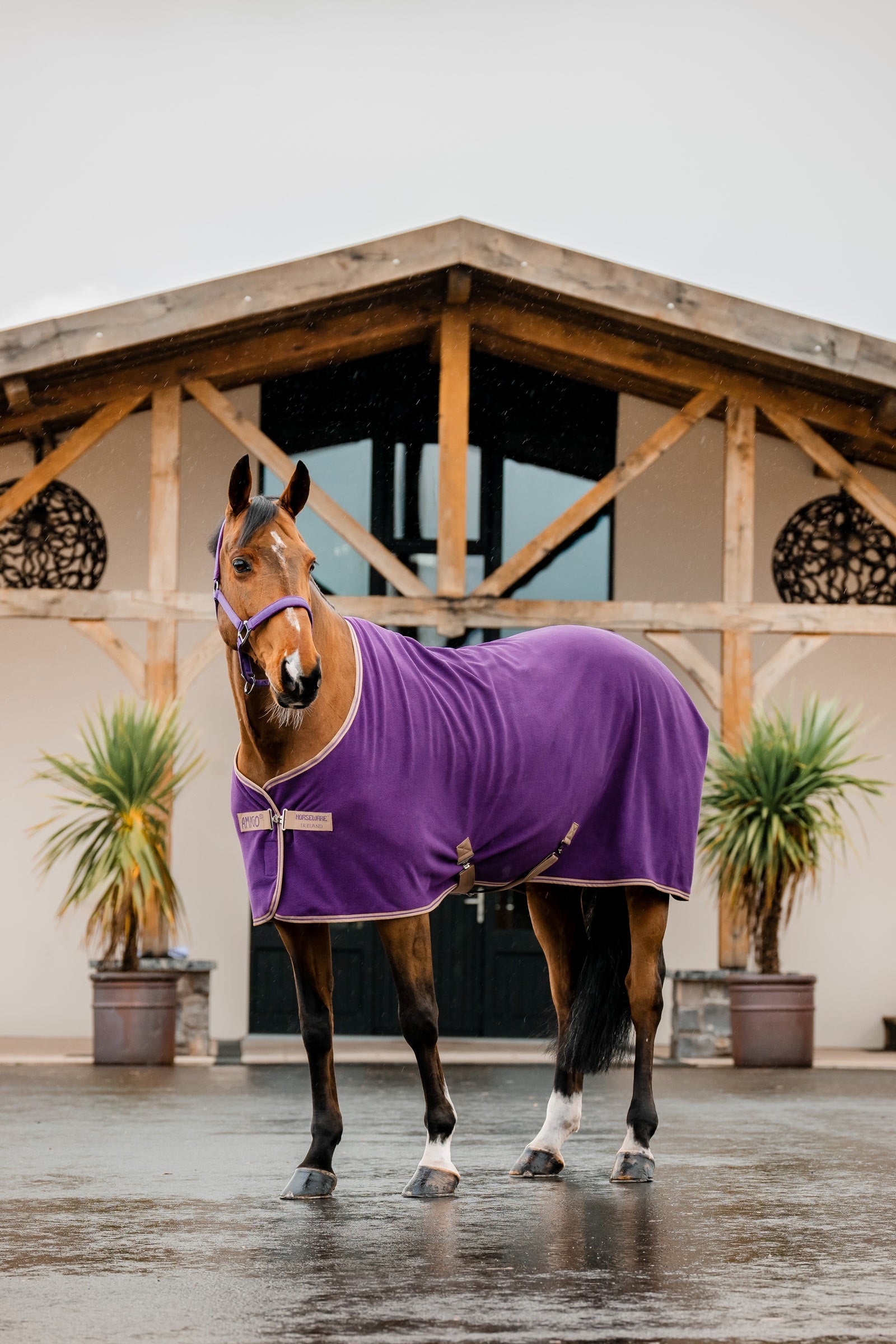 Horseware Amigo Fleece Cooler Dekken