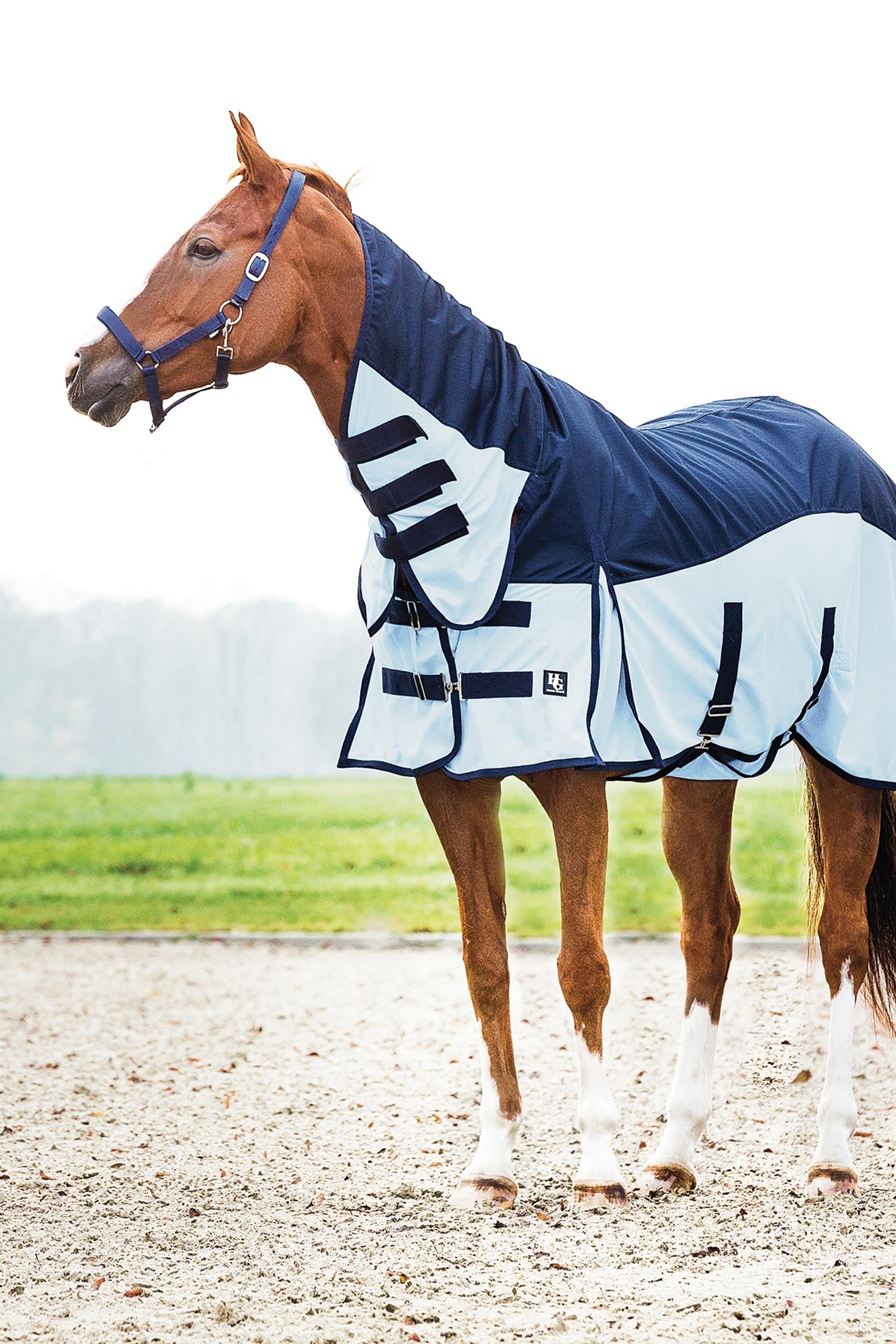 Horse Guard HorseGuard Aiman Rain & Insect Rug Dekken